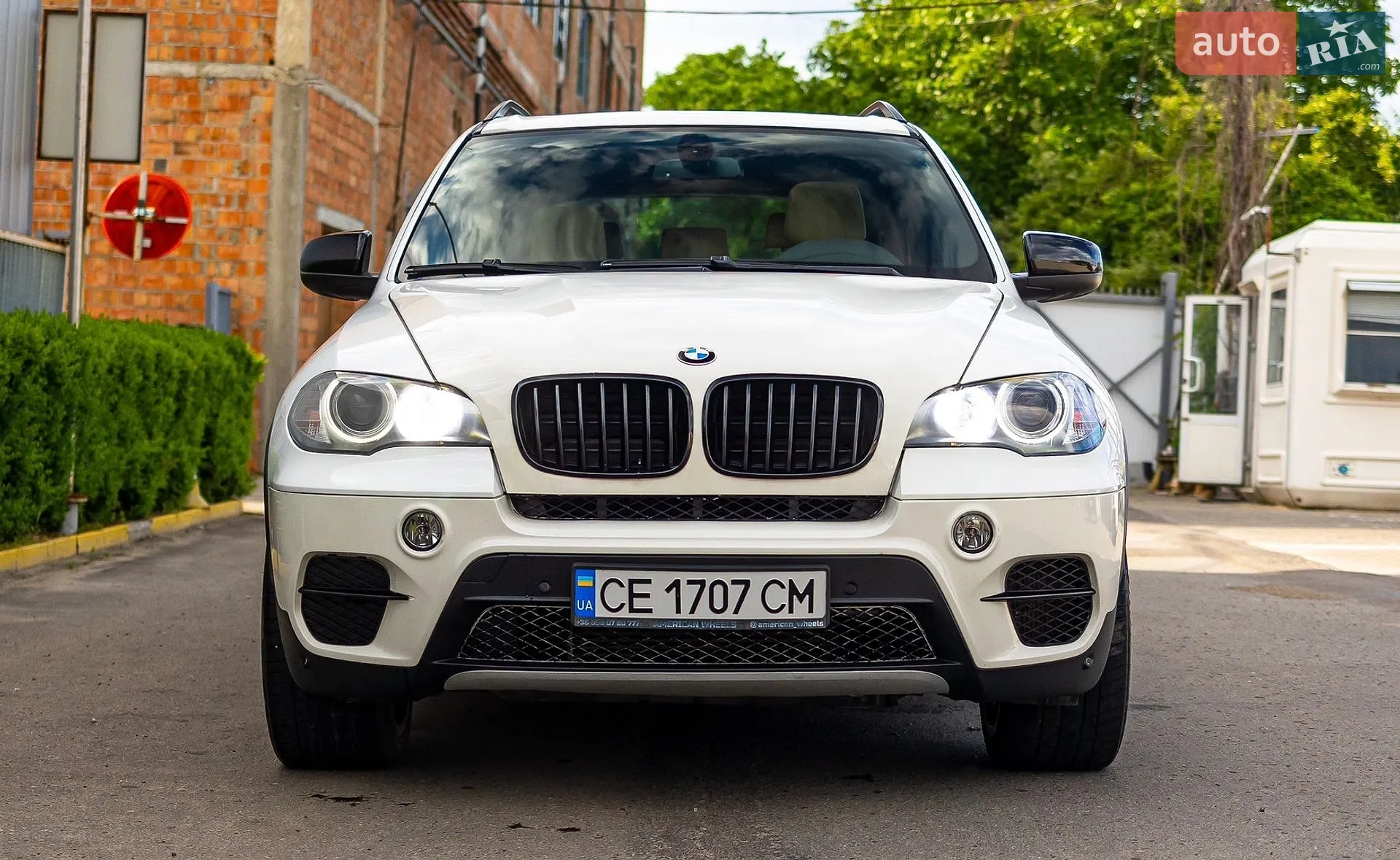 2010 BMW X5 - мініатюра 2