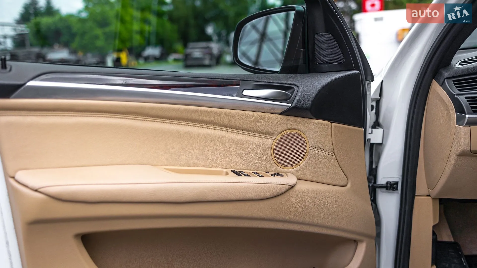 2010 BMW X5 - мініатюра 11