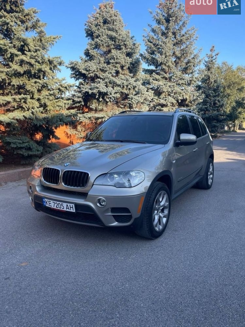2010 BMW X5 - мініатюра 19