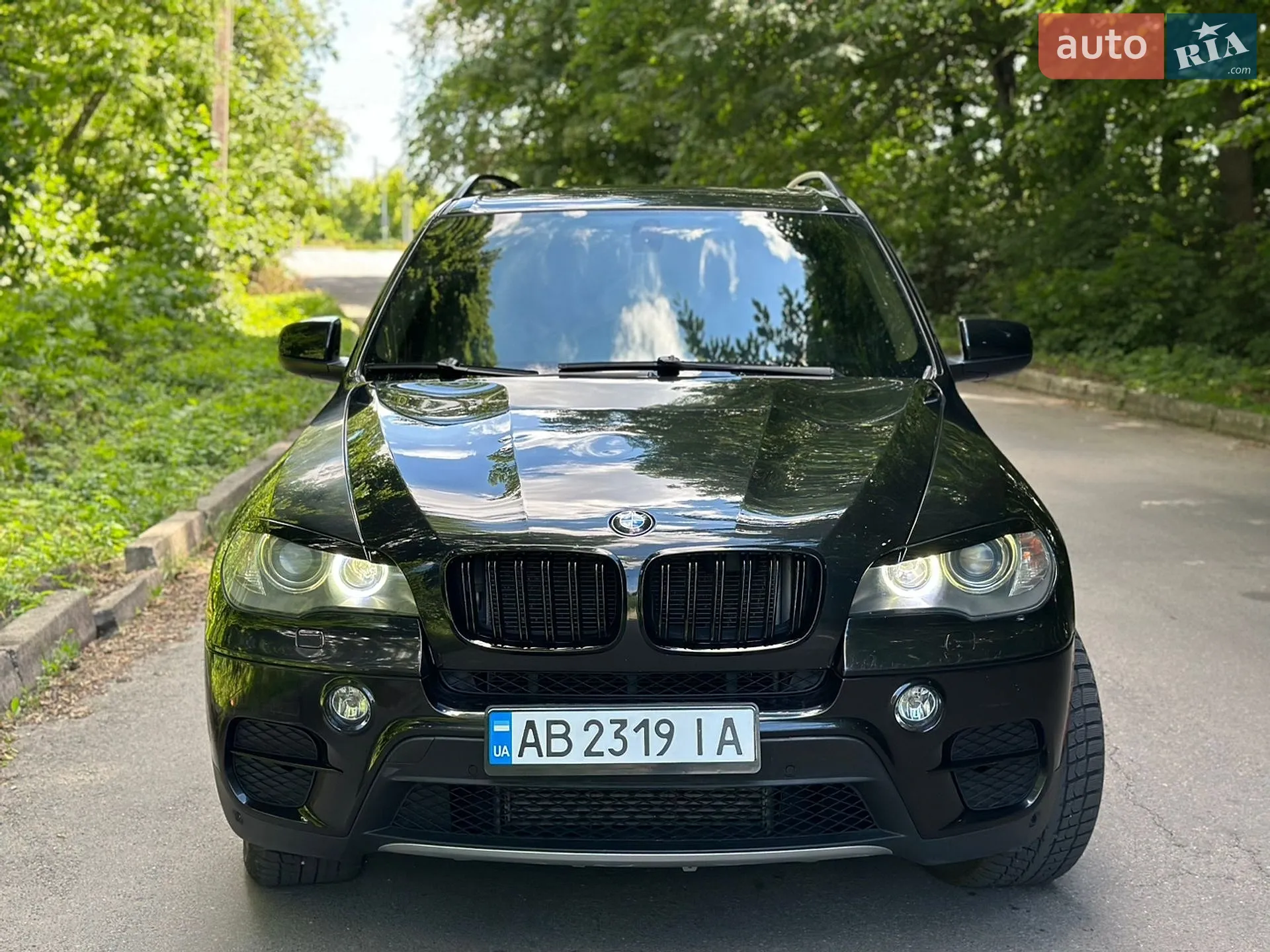 2010 BMW X5 - мініатюра 4