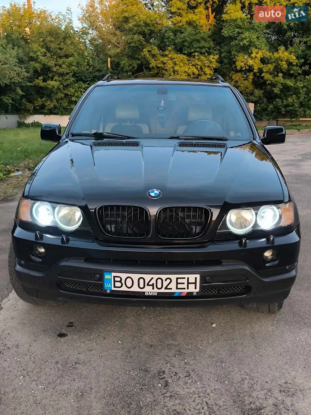 BMW X5 2002 VIN WBAFA71030LN28724 фото оголошення 3 з 16