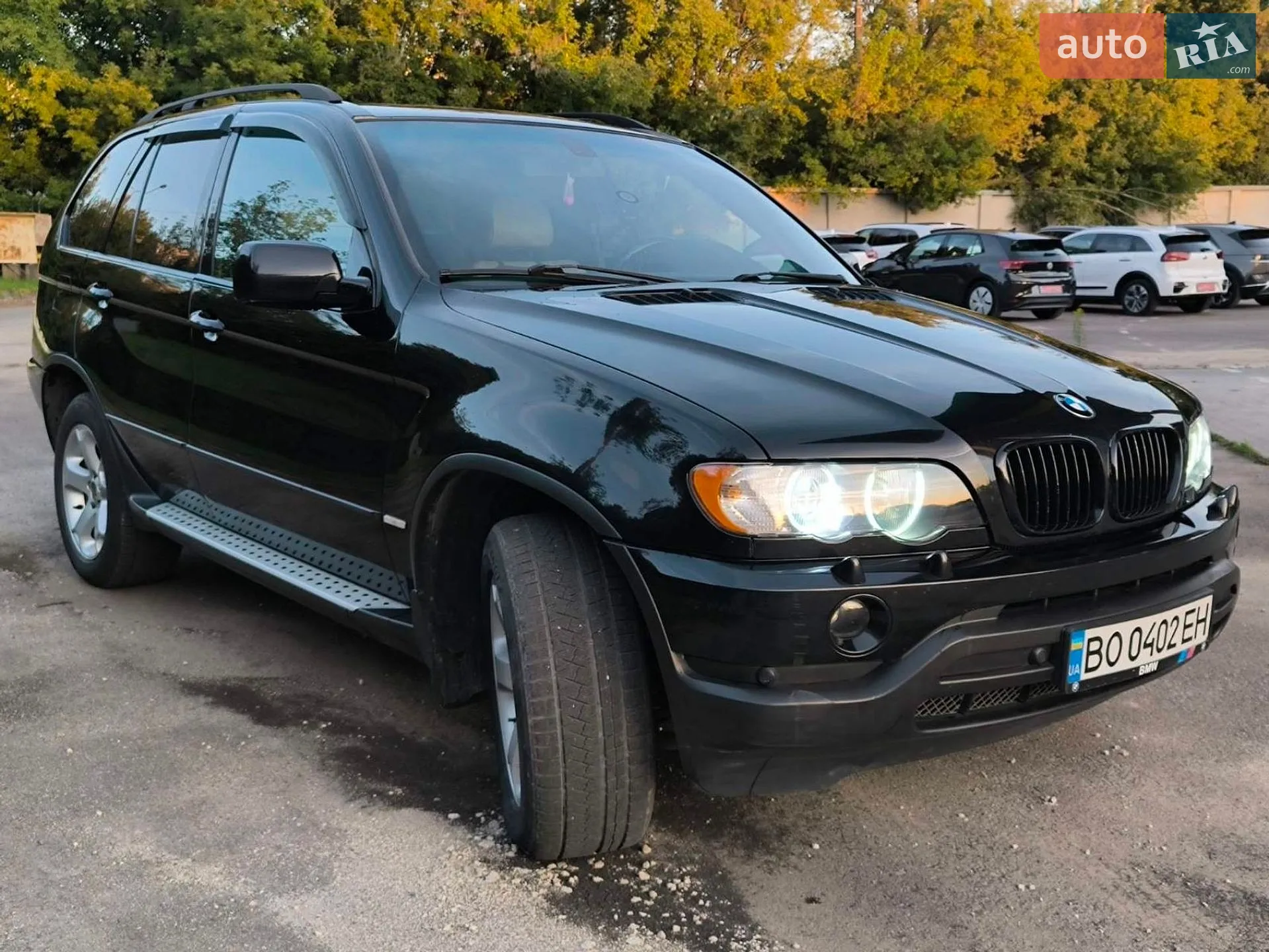 BMW X5 2002 VIN WBAFA71030LN28724 фото оголошення 2 з 16