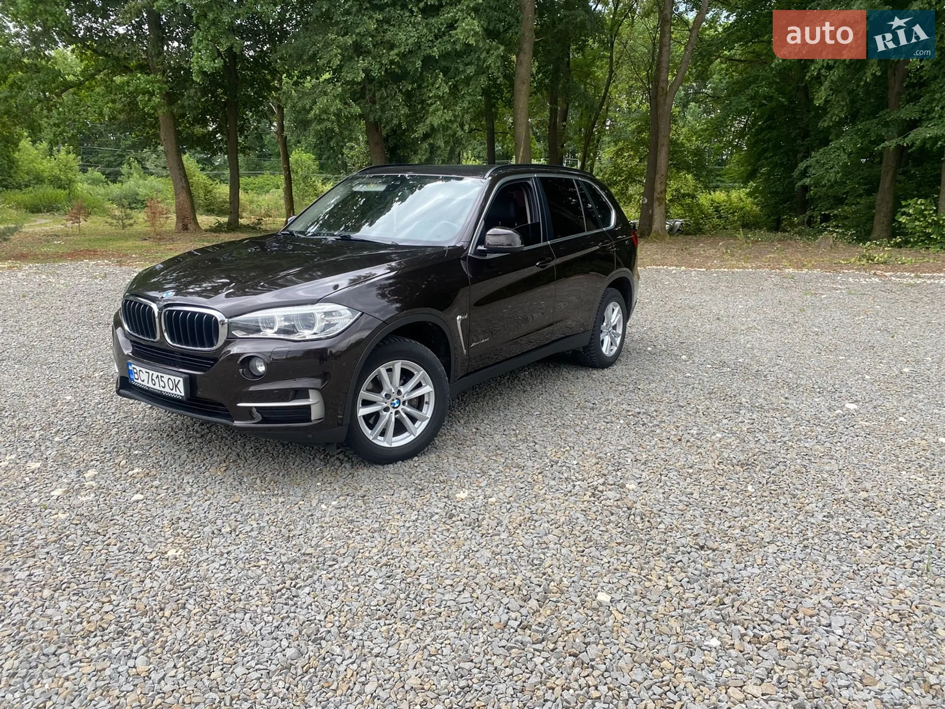 2015 BMW X5 - мініатюра 3