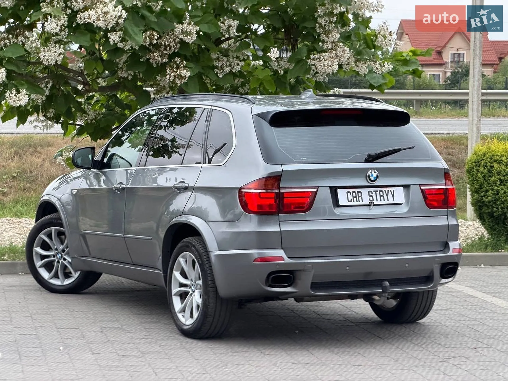 2010 BMW X5 - мініатюра 3