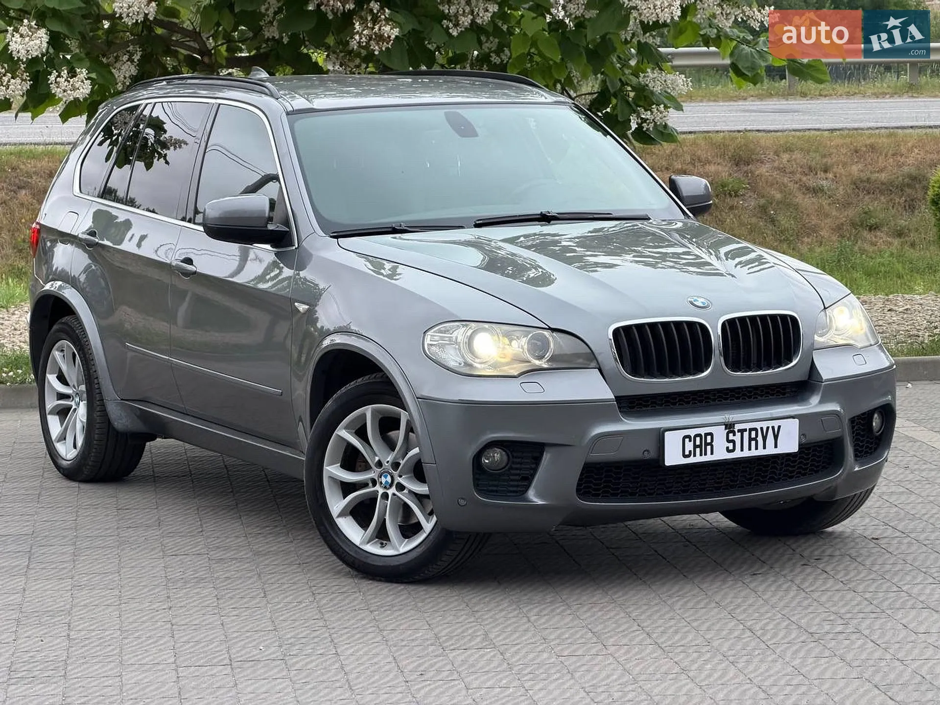 2010 BMW X5 - мініатюра 14