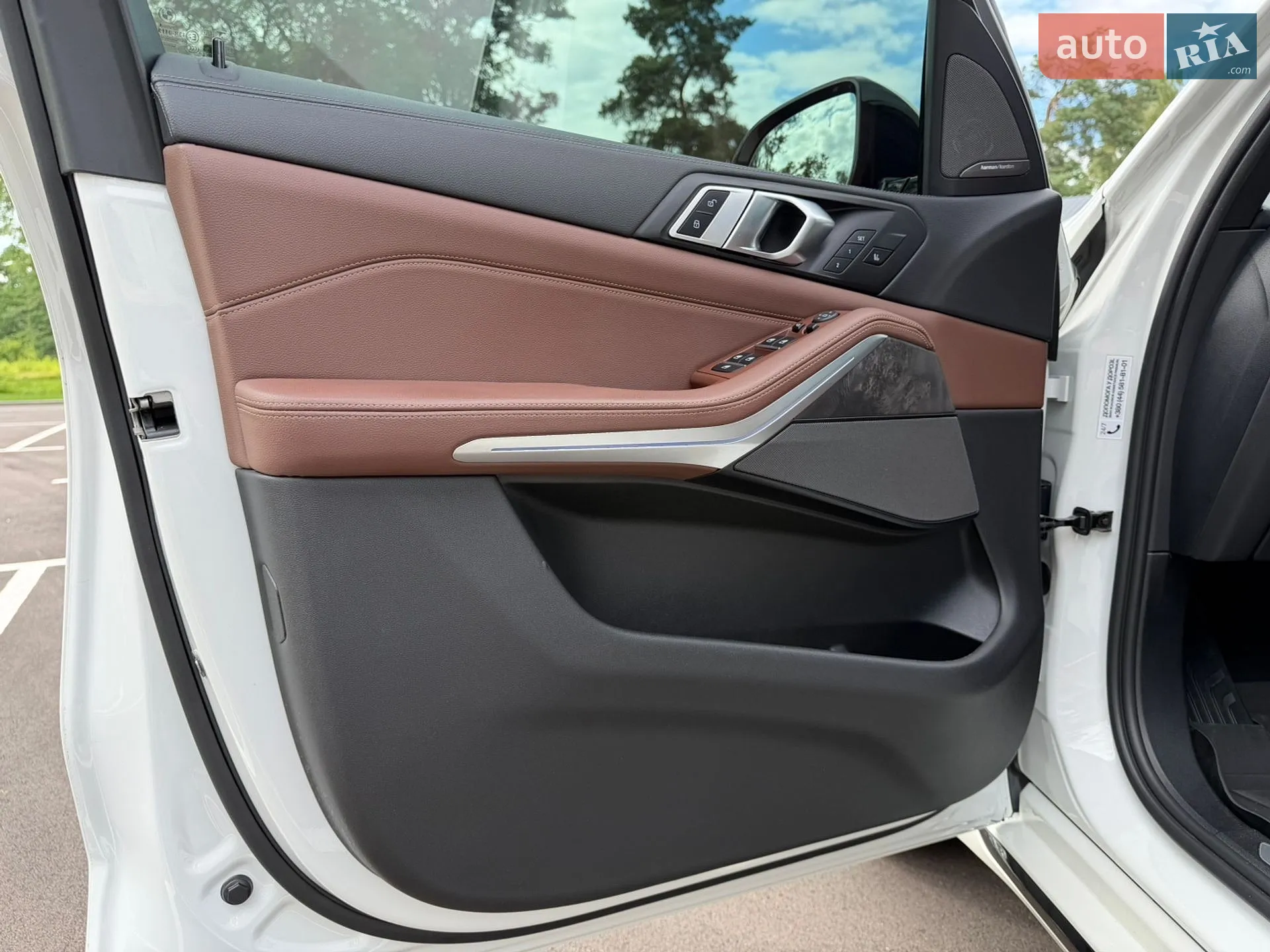 2019 BMW X5 - мініатюра 41