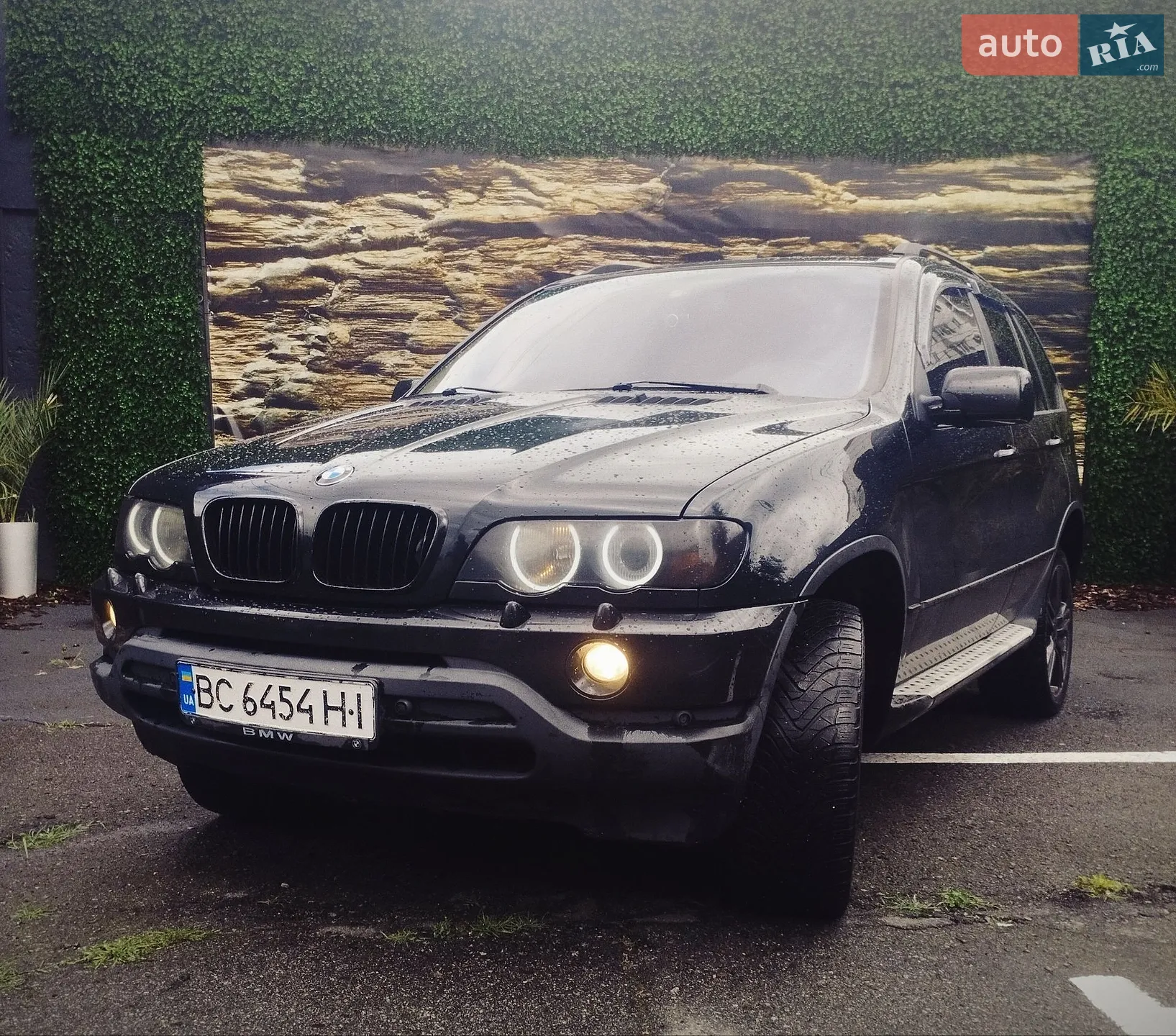 BMW X5 2002 VIN WBAFA51040LM38826 фото оголошення 3 з 16