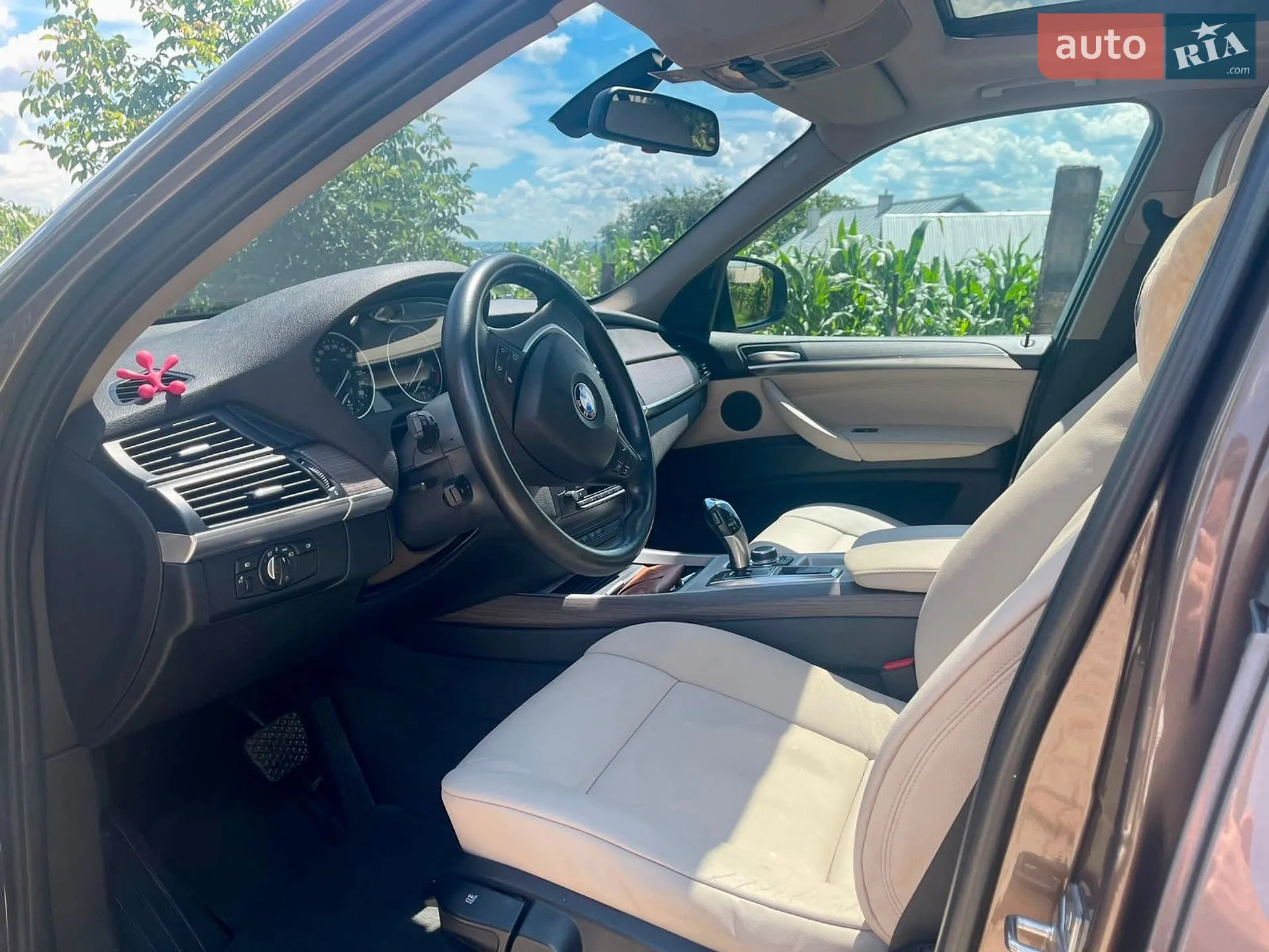 2010 BMW X5 - мініатюра 16