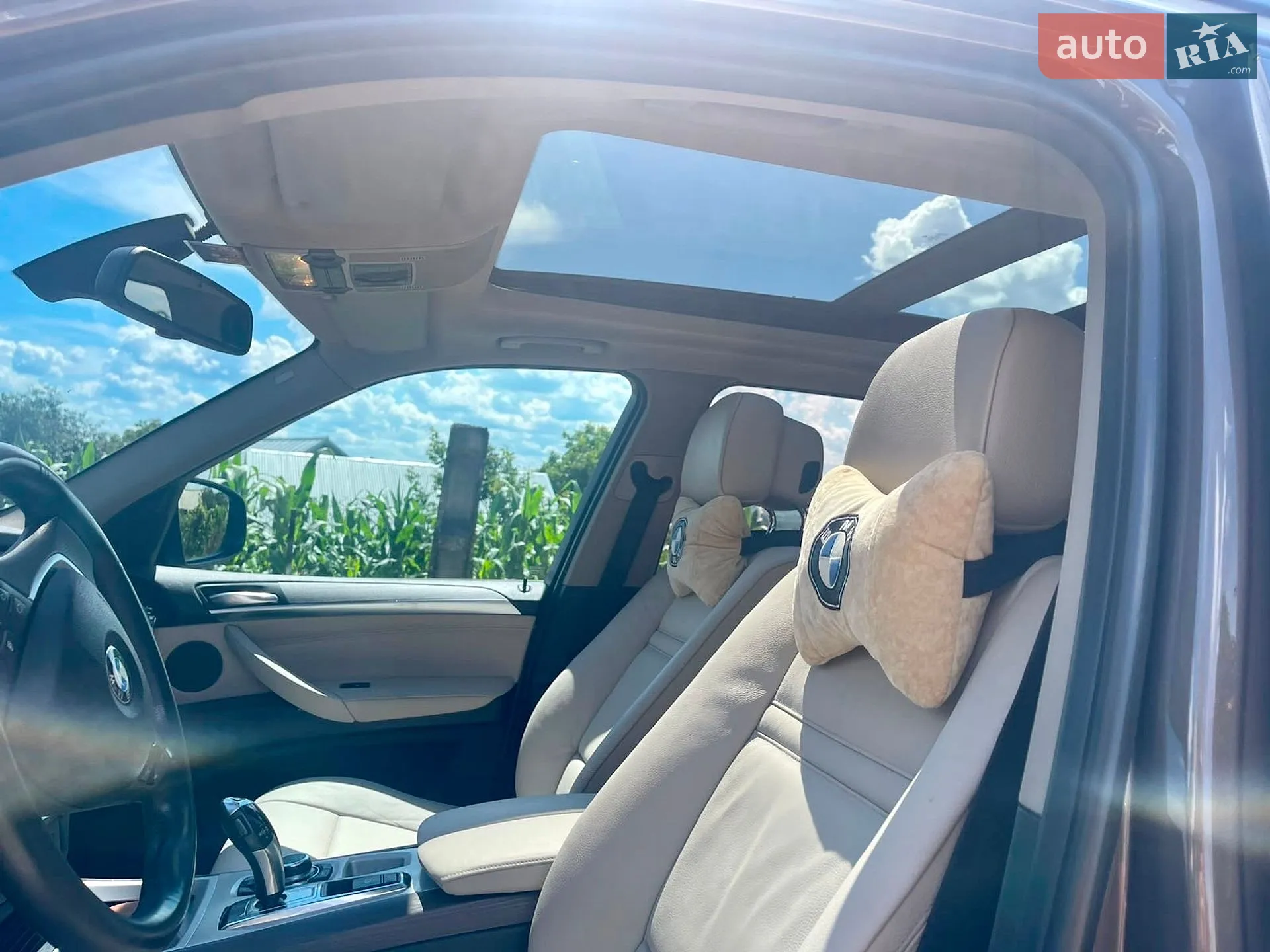 2010 BMW X5 - мініатюра 17