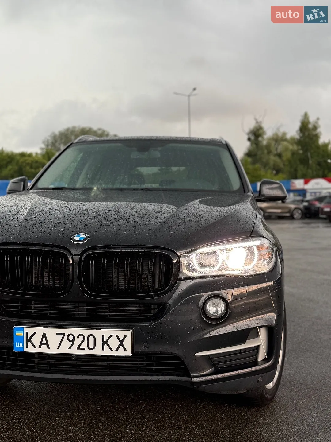 2013 BMW X5 - мініатюра 20