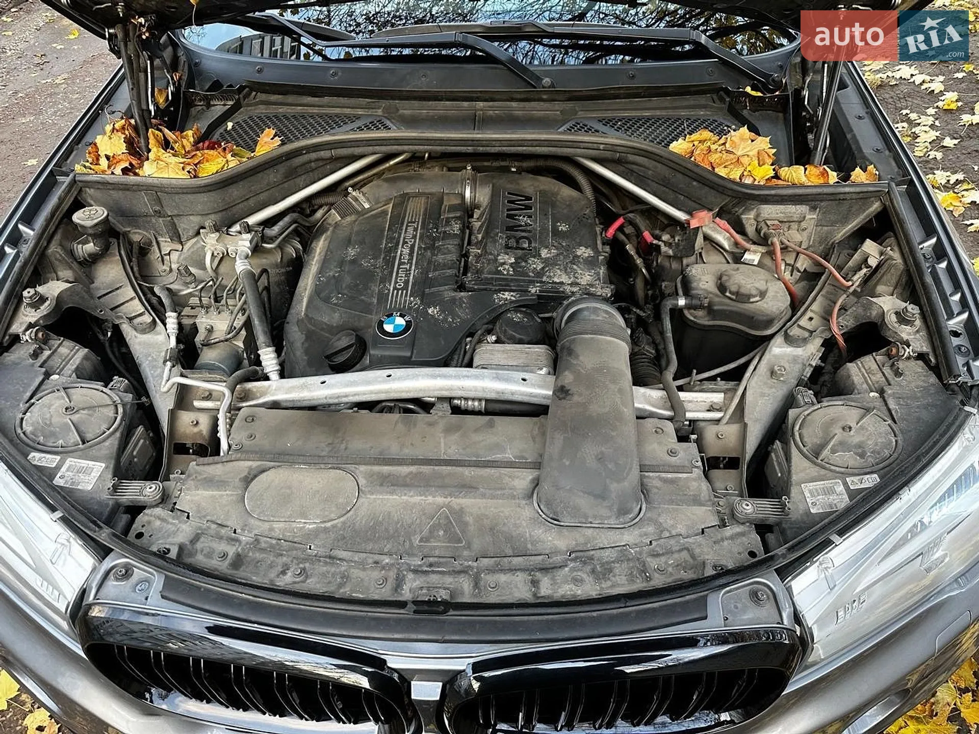 2013 BMW X5 - мініатюра 8