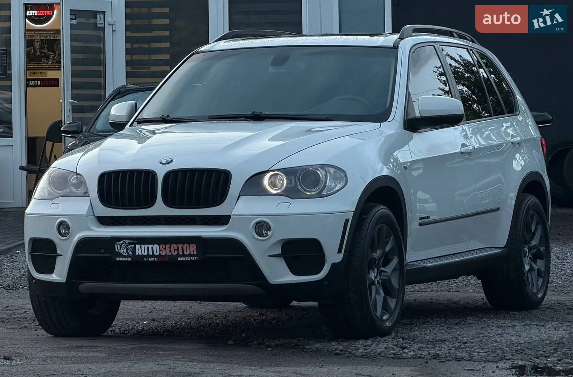 2010 BMW X5 - мініатюра 2