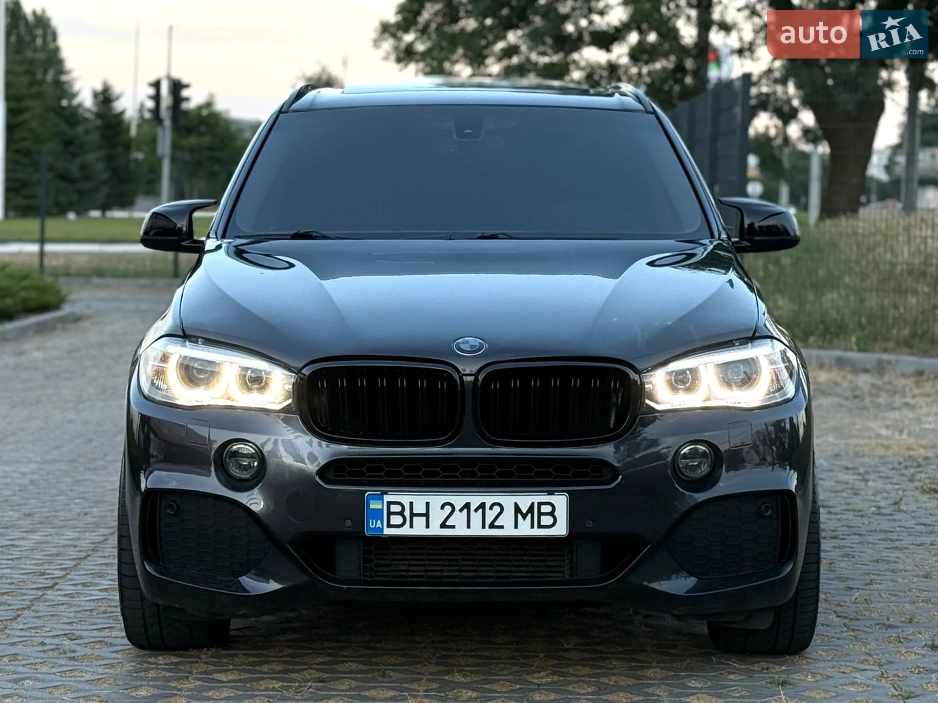 2014 BMW X5 - мініатюра 2