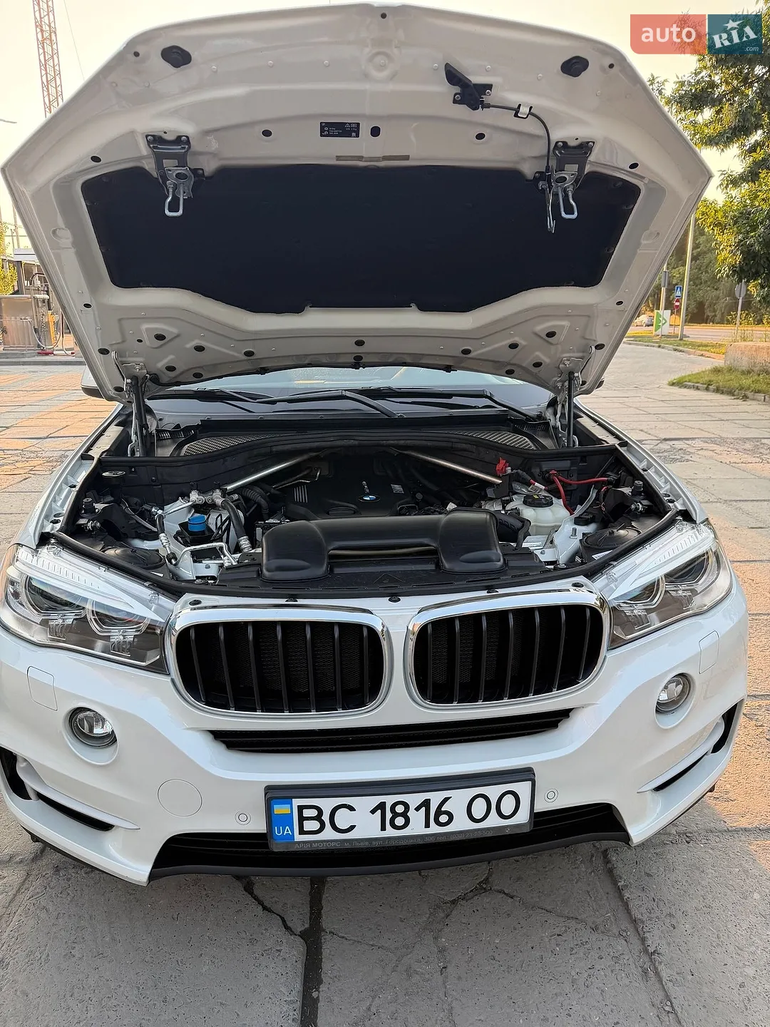 2018 BMW X5 - мініатюра 46