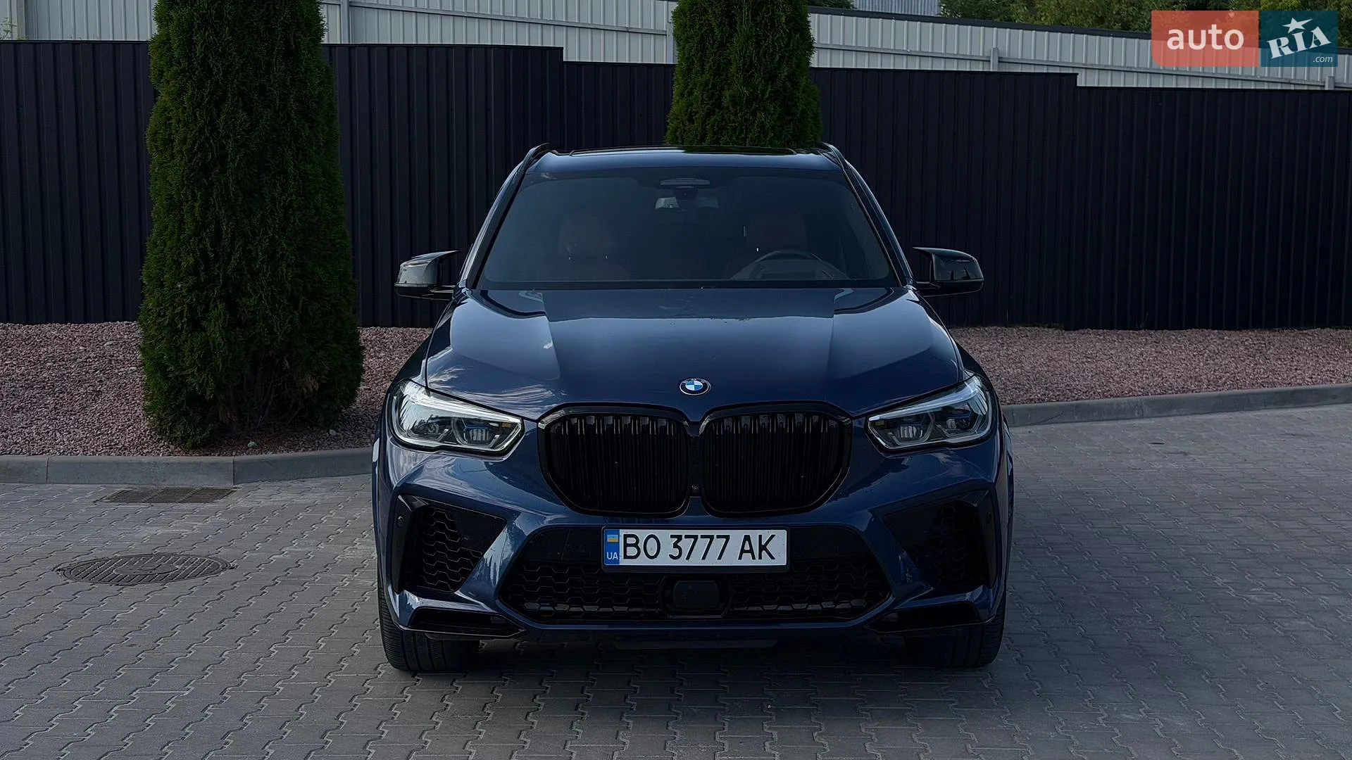 2021 BMW X5 - мініатюра 2