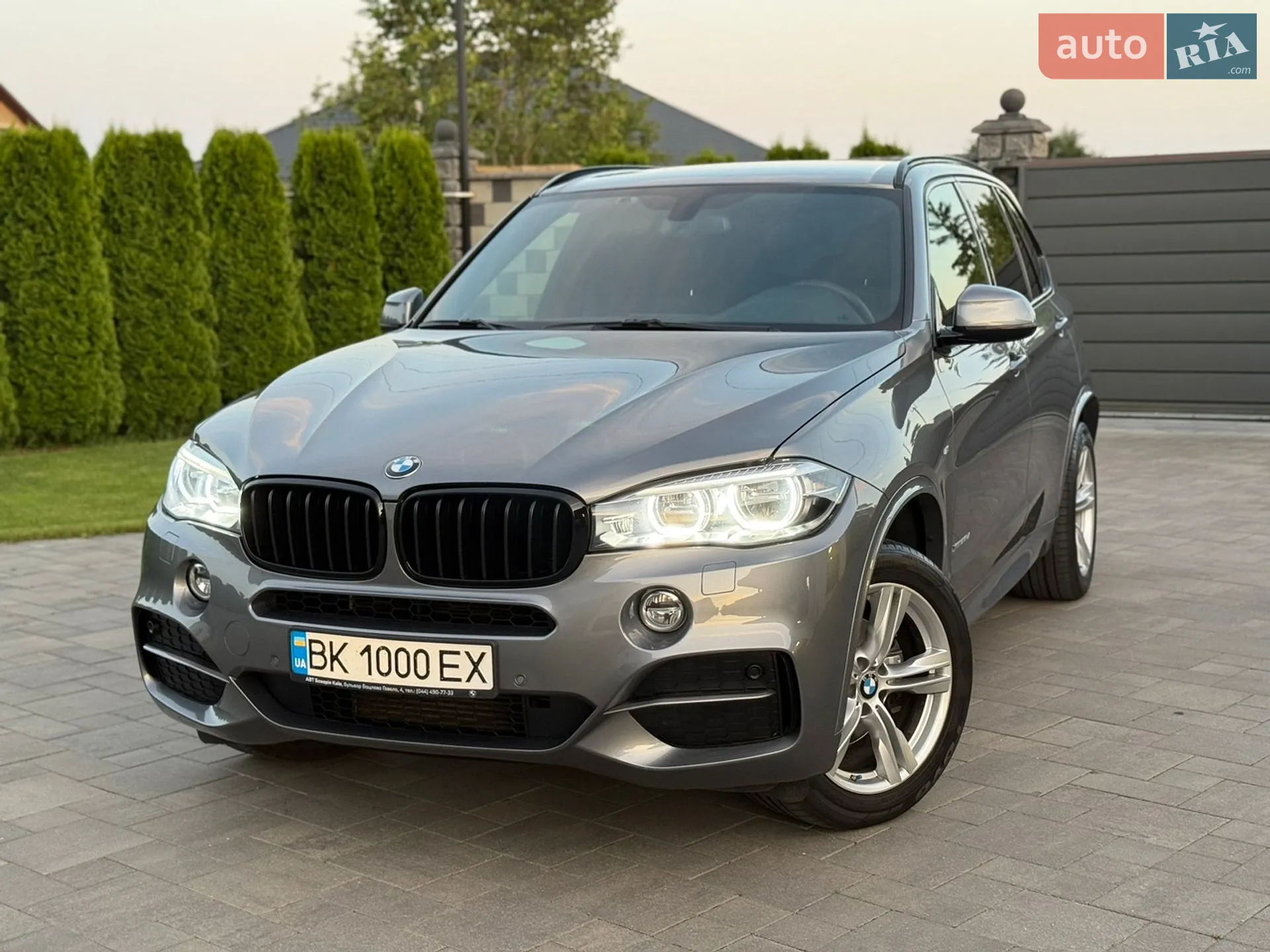 2017 BMW X5 - мініатюра 2