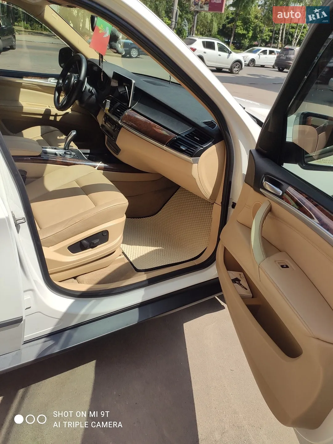 2010 BMW X5 - мініатюра 12