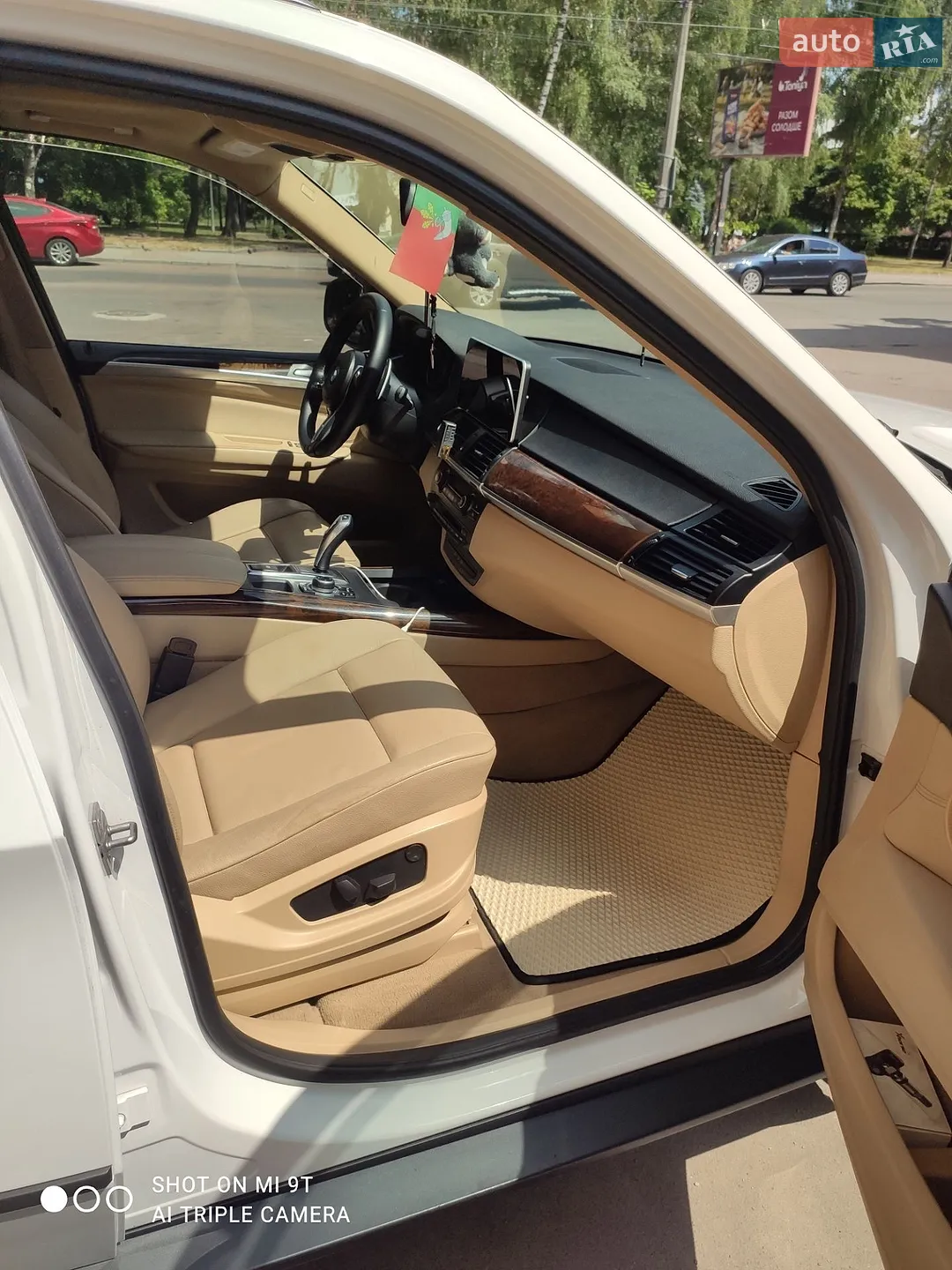 2010 BMW X5 - мініатюра 11