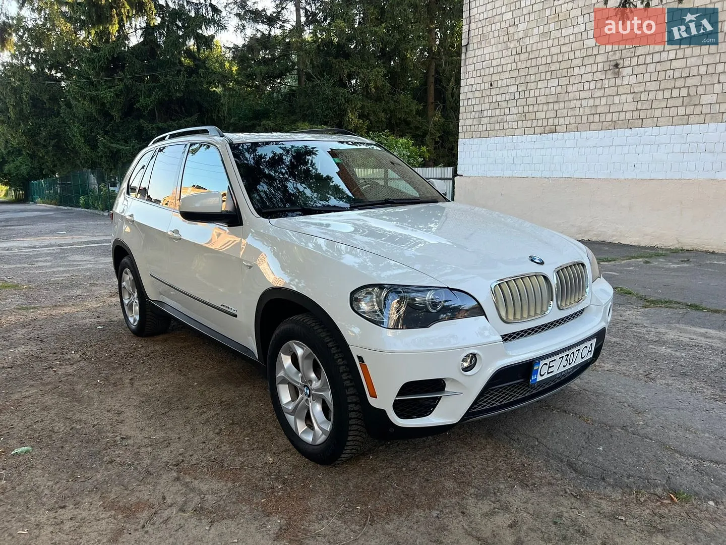 2010 BMW X5 - мініатюра 3