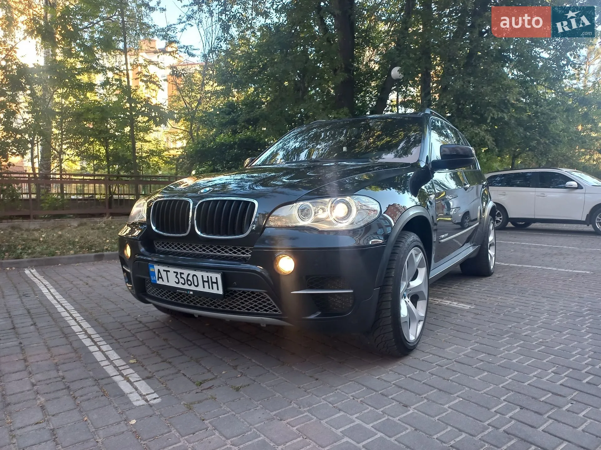 2010 BMW X5 - мініатюра 7