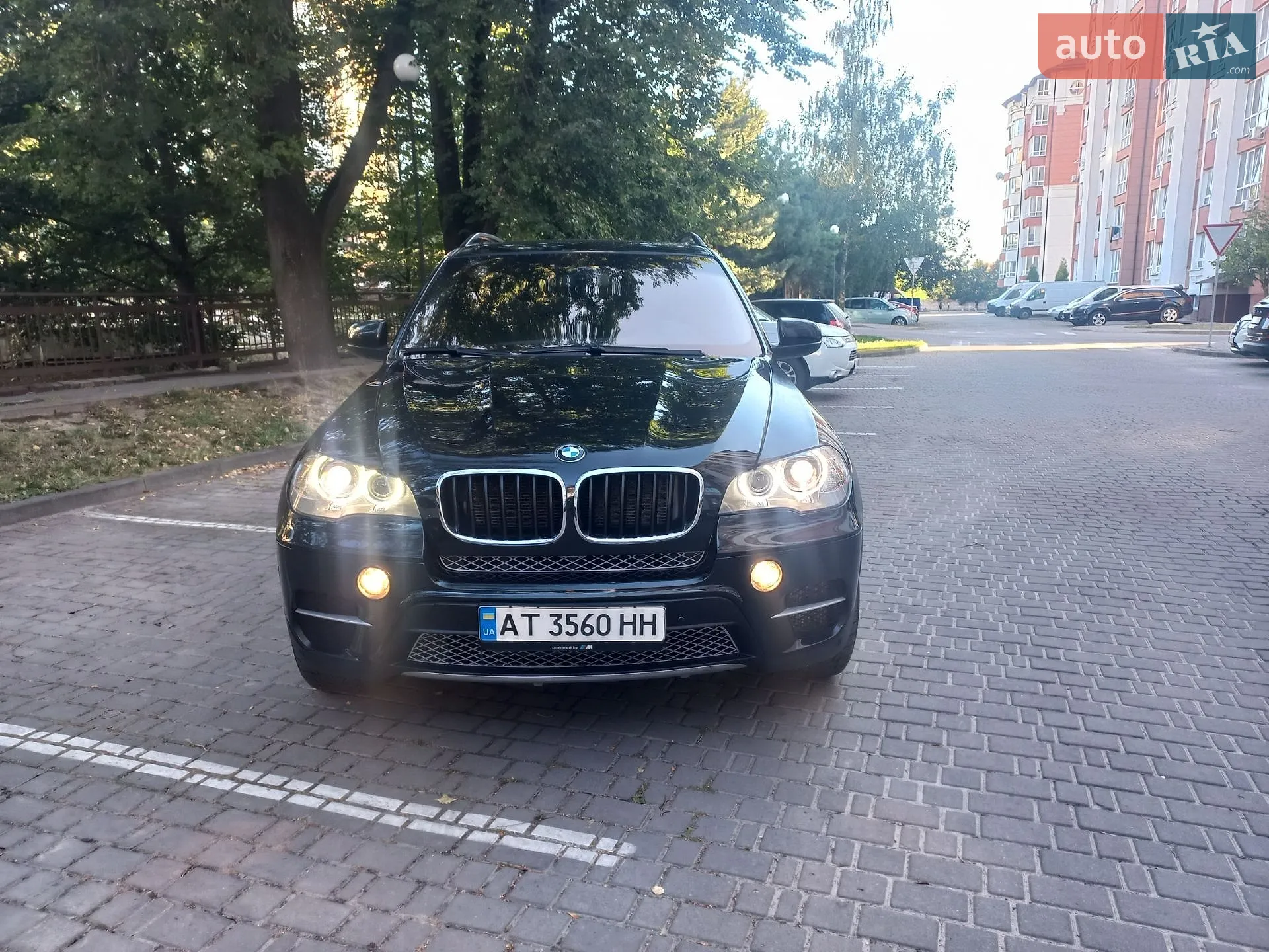 2010 BMW X5 - мініатюра 48