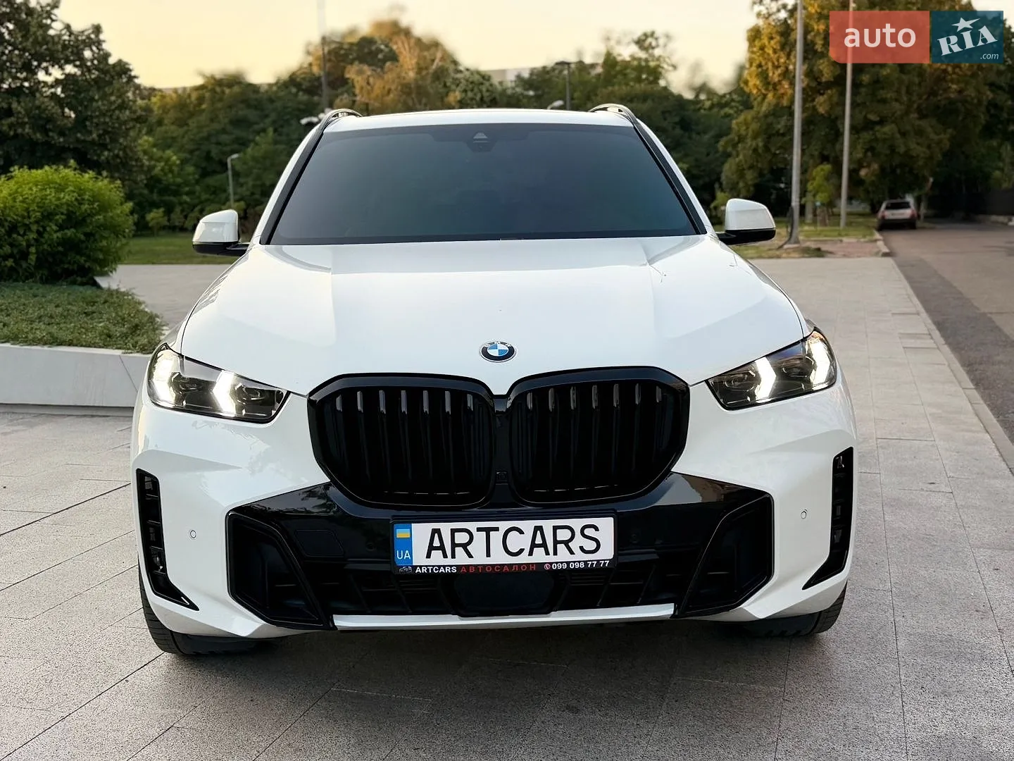 2019 BMW X5 - мініатюра 7