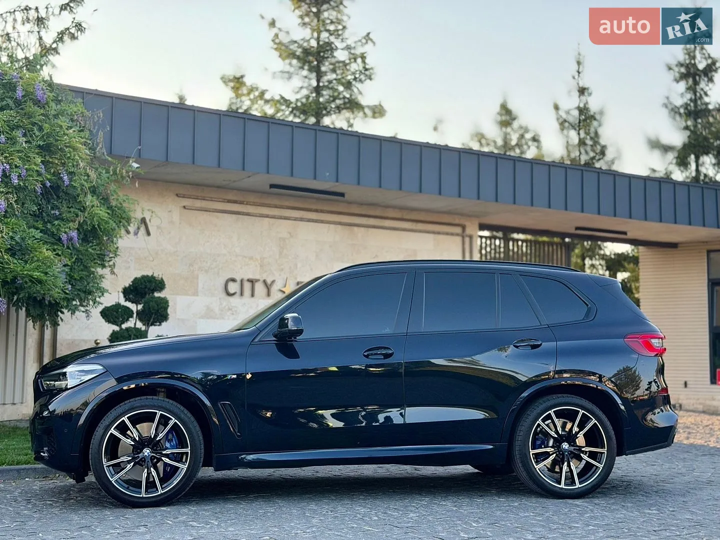 2019 BMW X5 - мініатюра 23