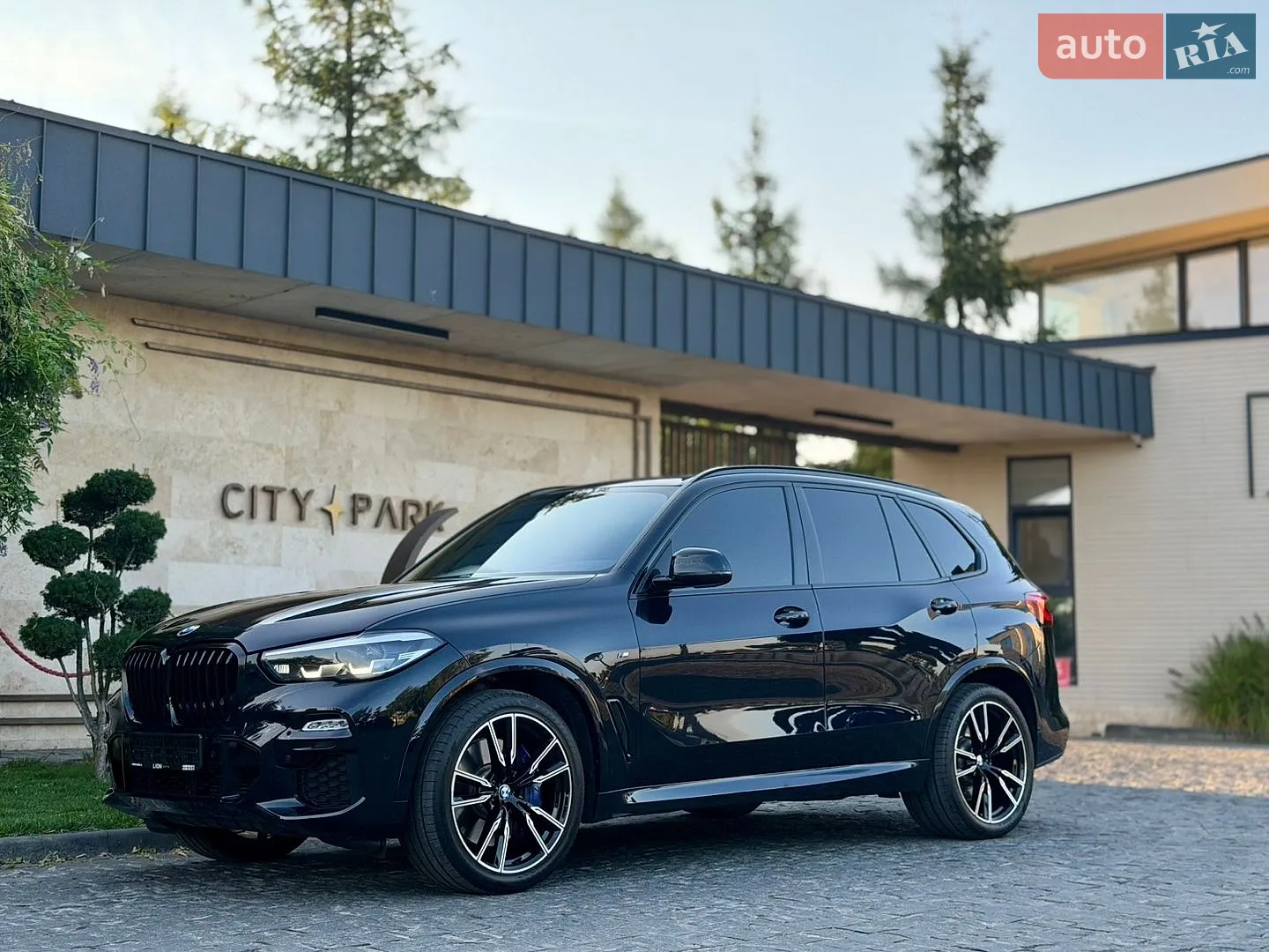 2019 BMW X5 - мініатюра 47