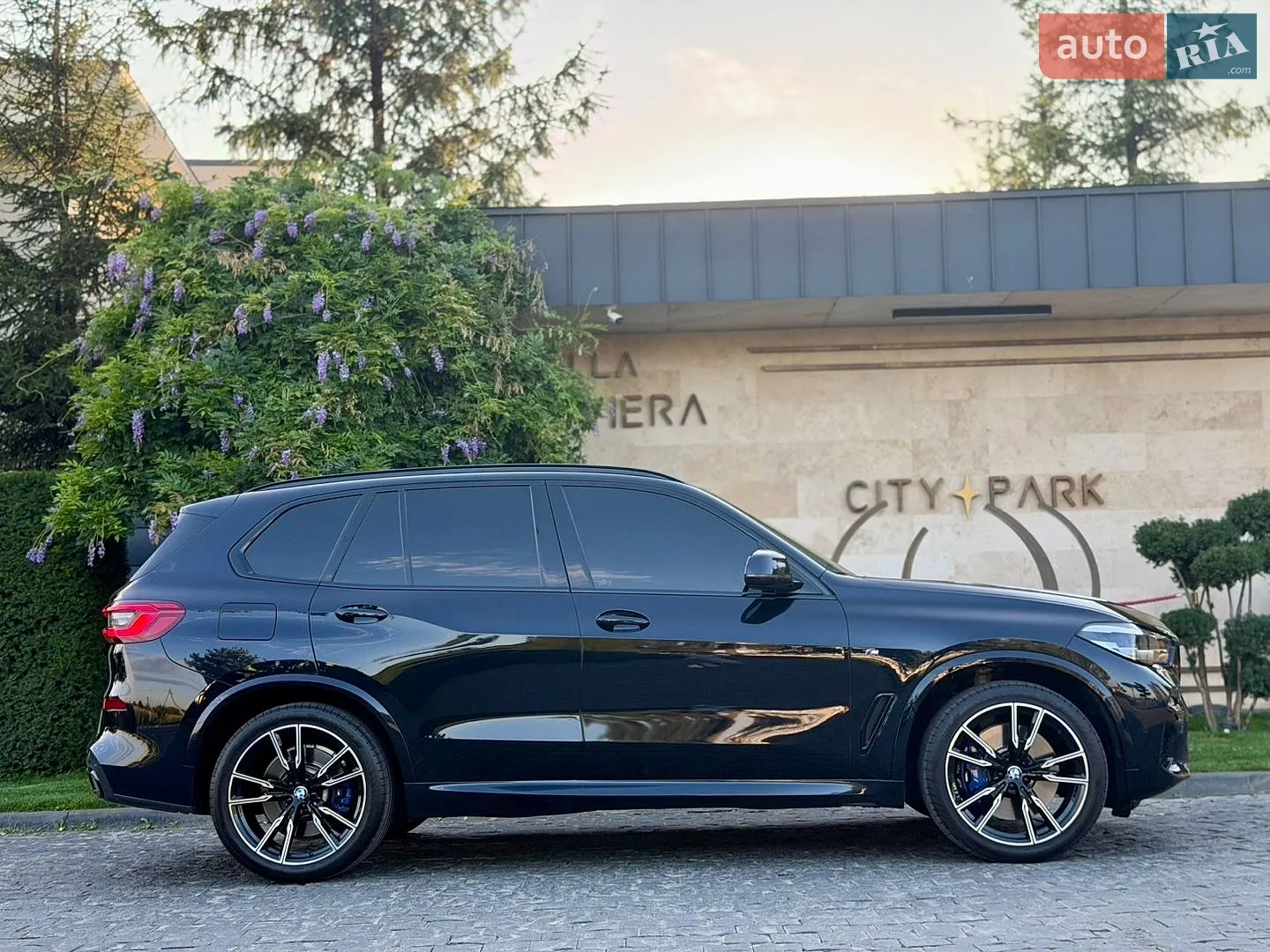 2019 BMW X5 - мініатюра 53
