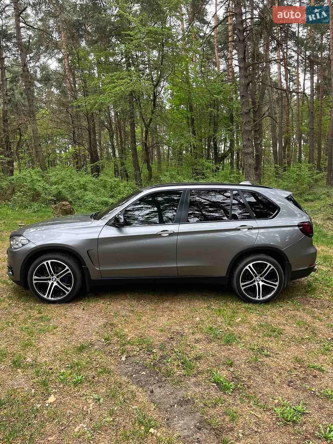 2014 BMW X5 - мініатюра 3