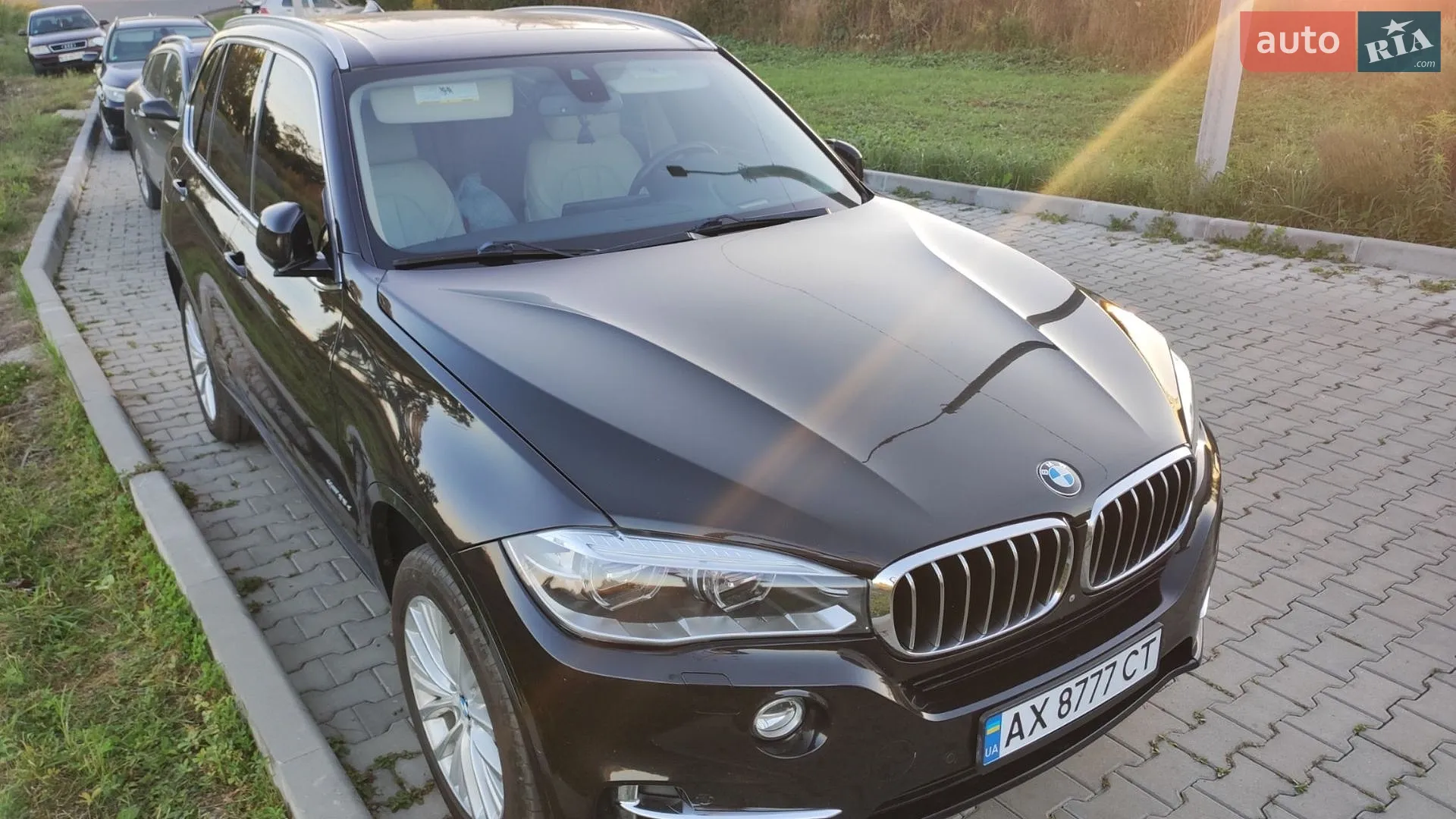 2016 BMW X5 - мініатюра 3