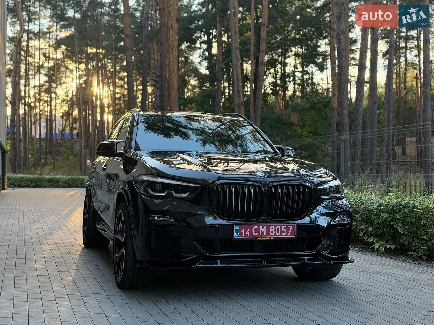 2018 BMW X5 - мініатюра 42