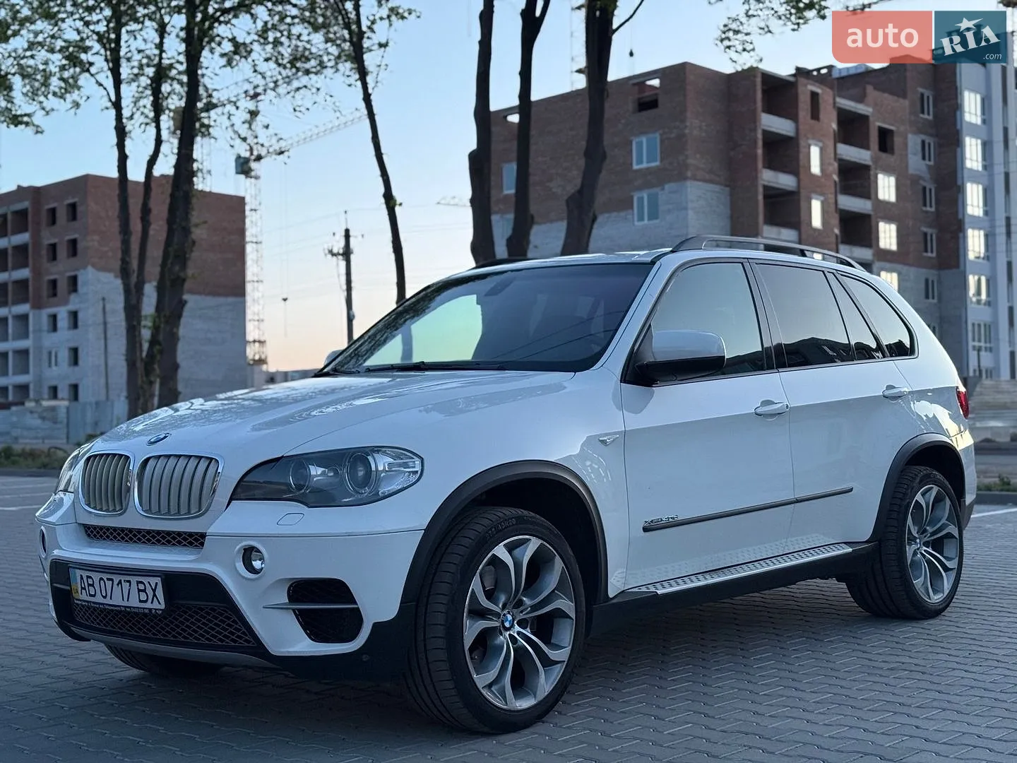 2010 BMW X5 - мініатюра 3