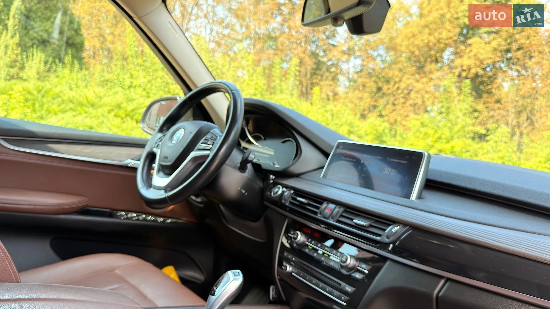 2018 BMW X5 - мініатюра 16