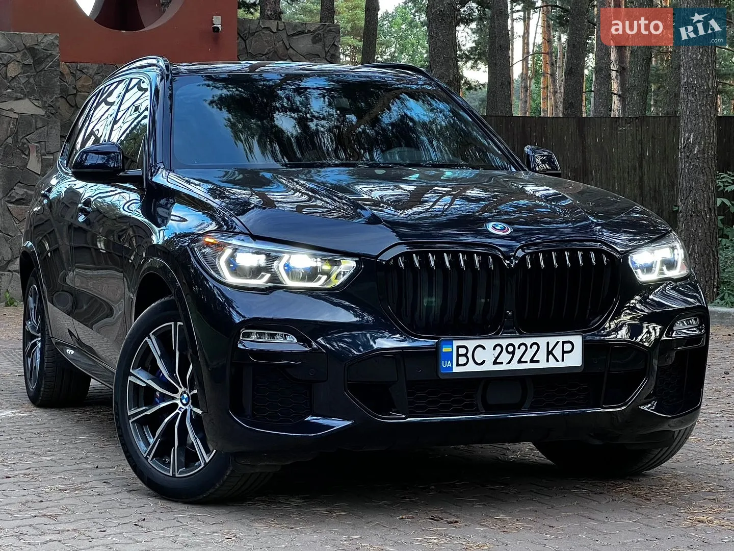 2019 BMW X5 - мініатюра 2