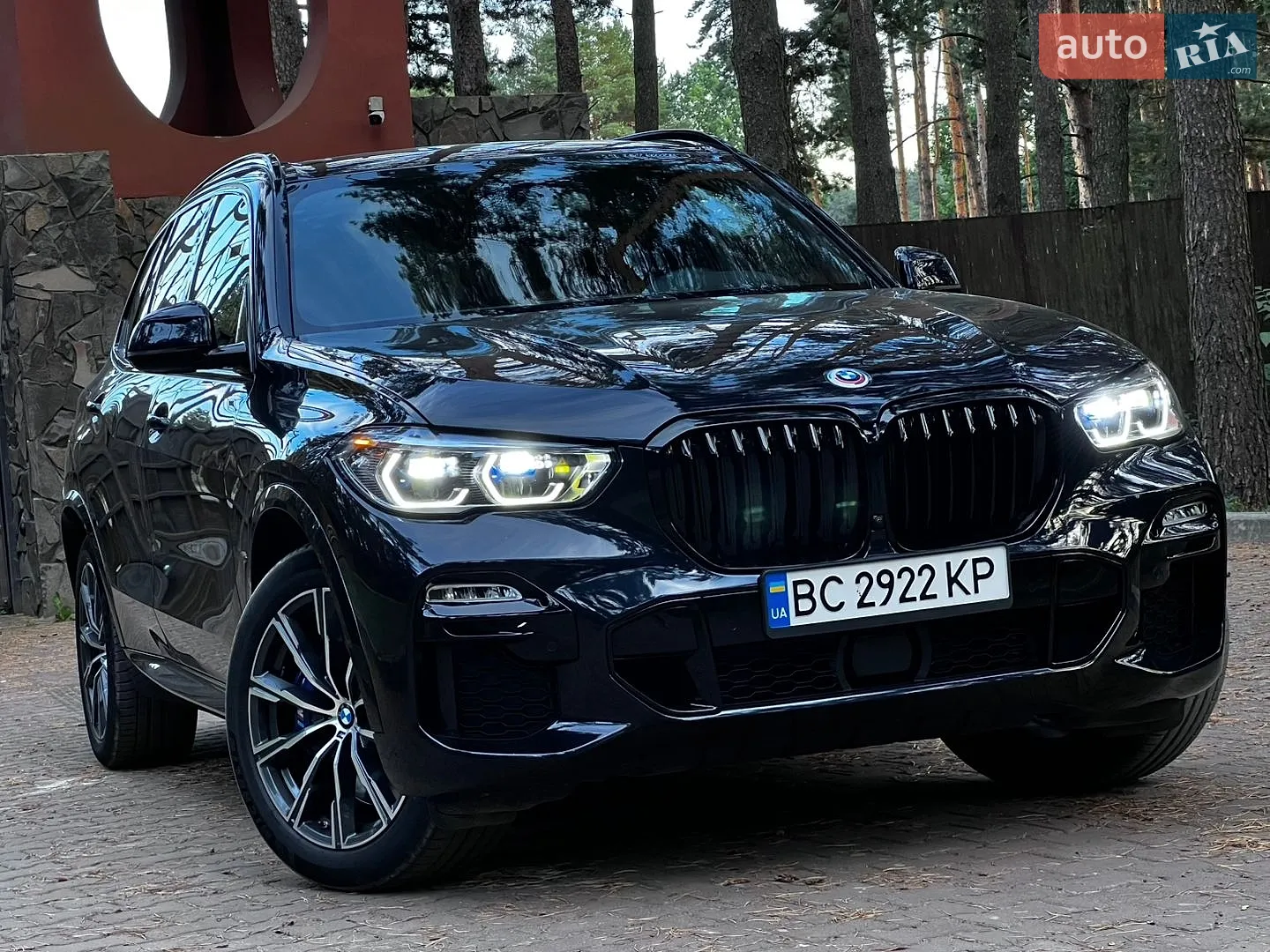 2019 BMW X5 - мініатюра 3