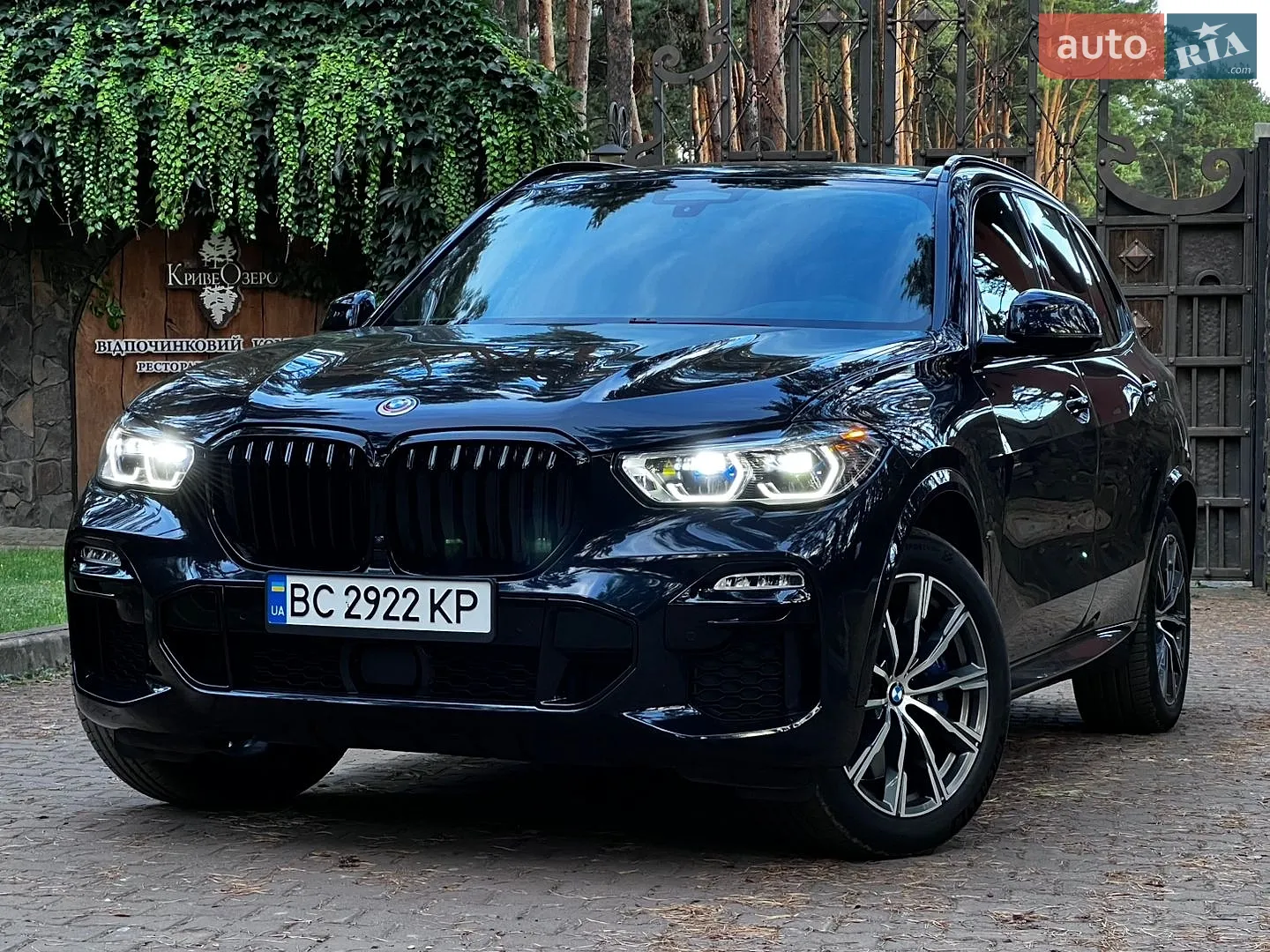 2019 BMW X5 - мініатюра 6