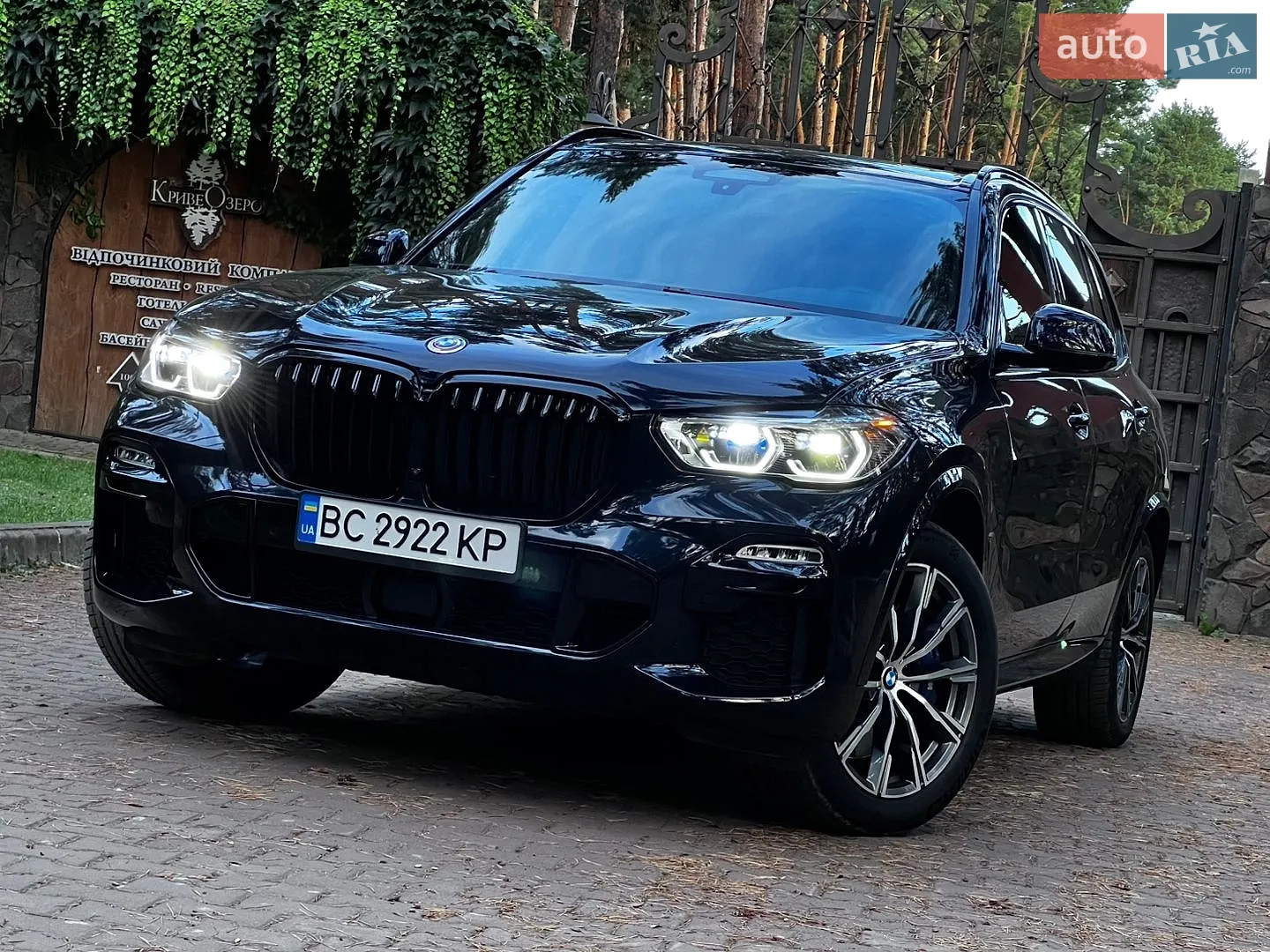 2019 BMW X5 - мініатюра 7