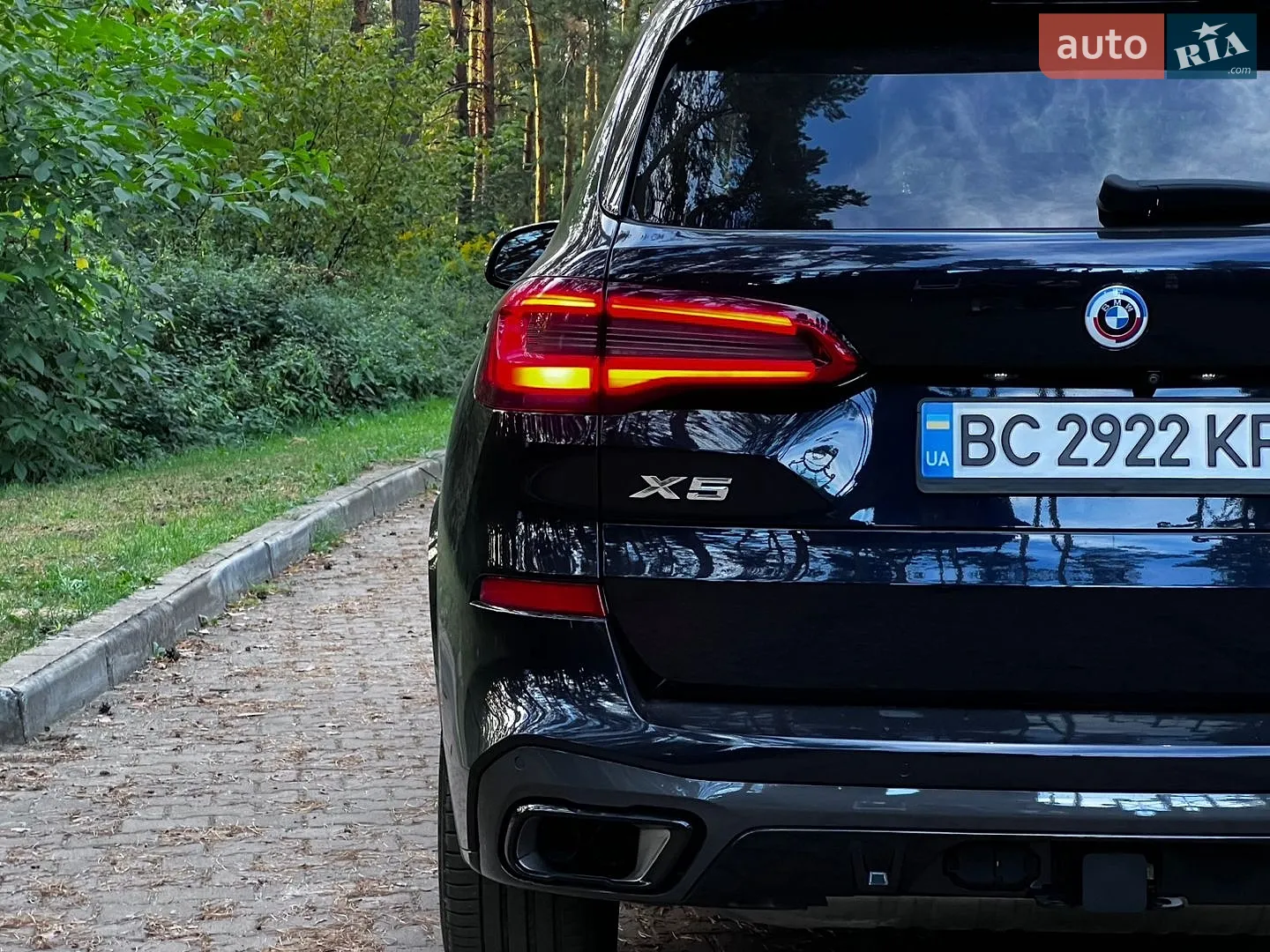2019 BMW X5 - мініатюра 28