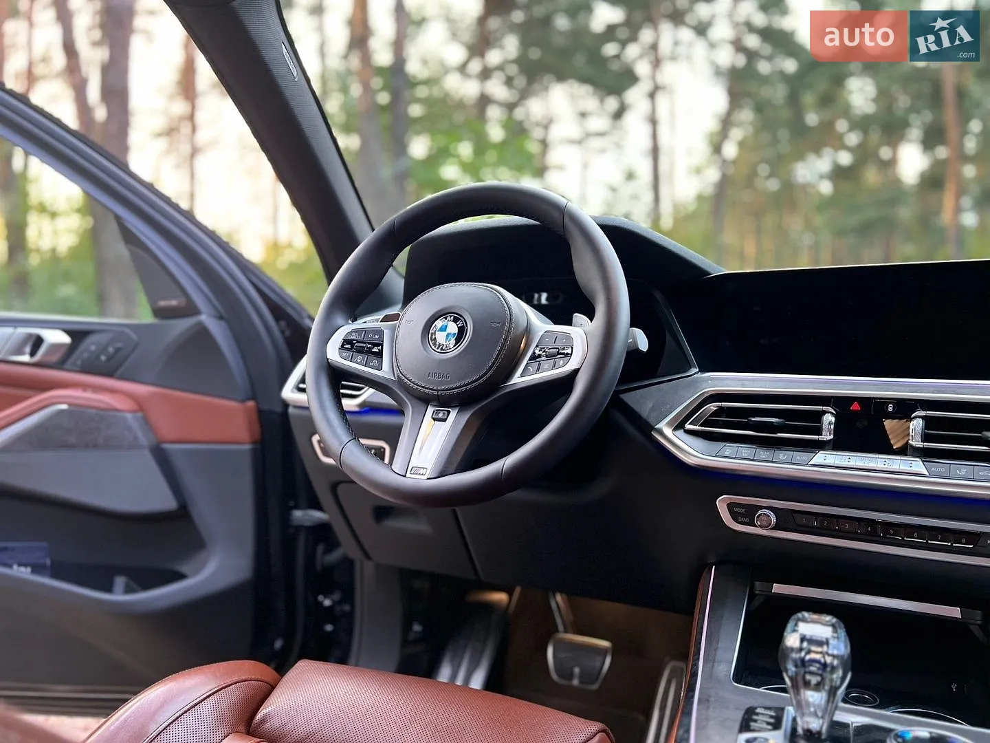 2019 BMW X5 - мініатюра 42