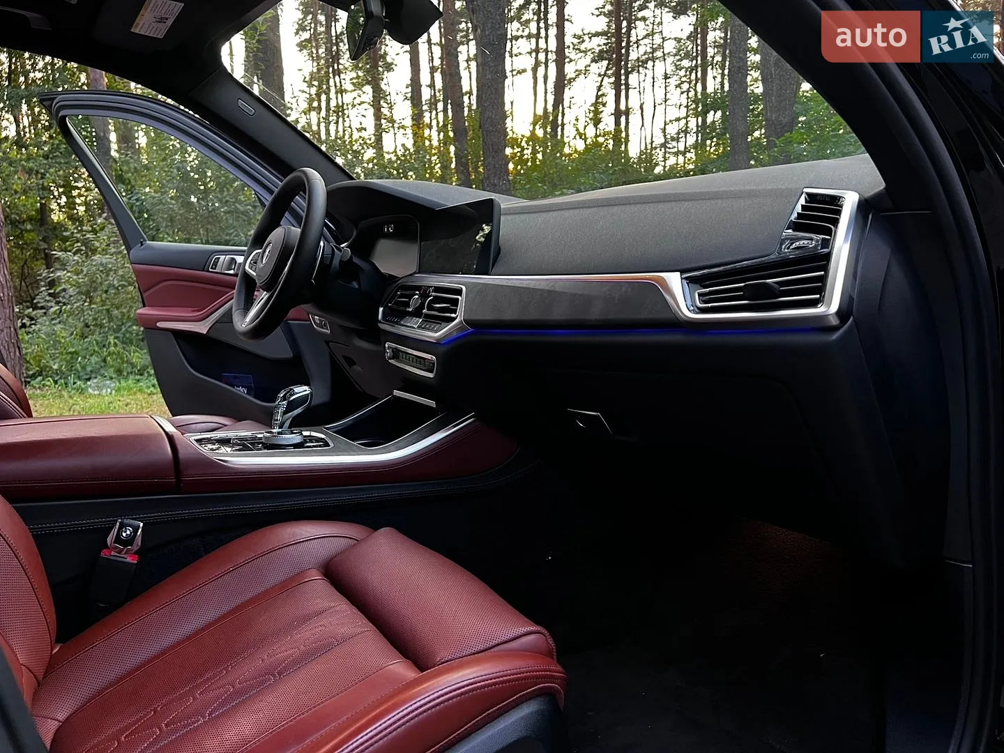 2019 BMW X5 - мініатюра 44