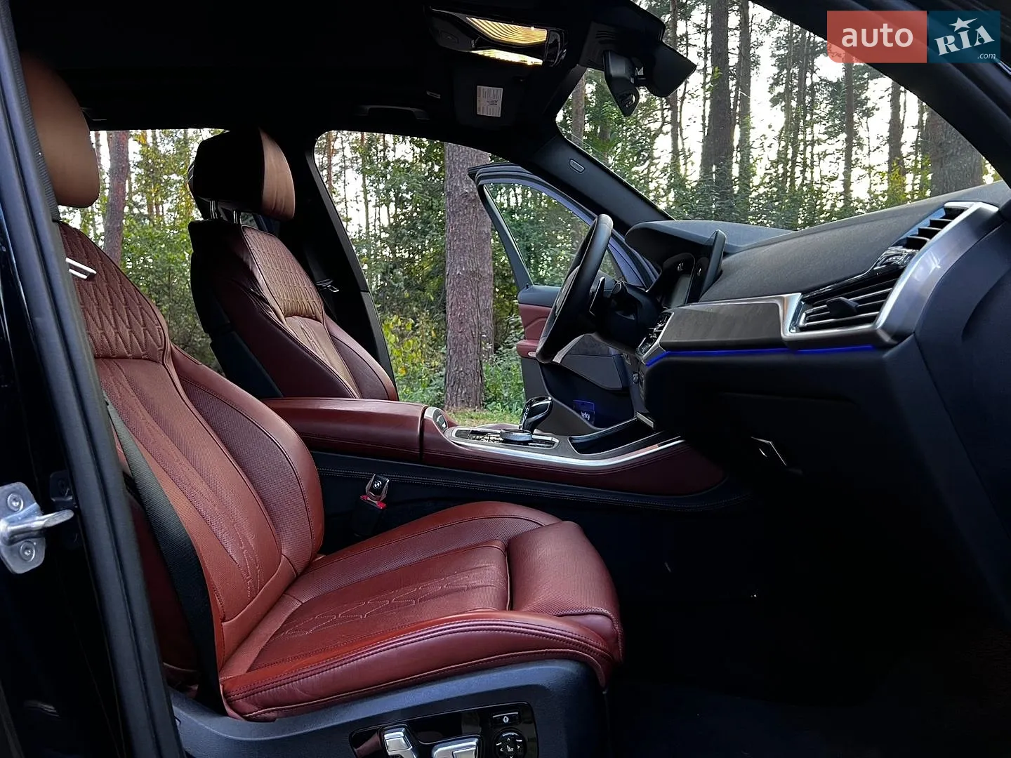 2019 BMW X5 - мініатюра 45