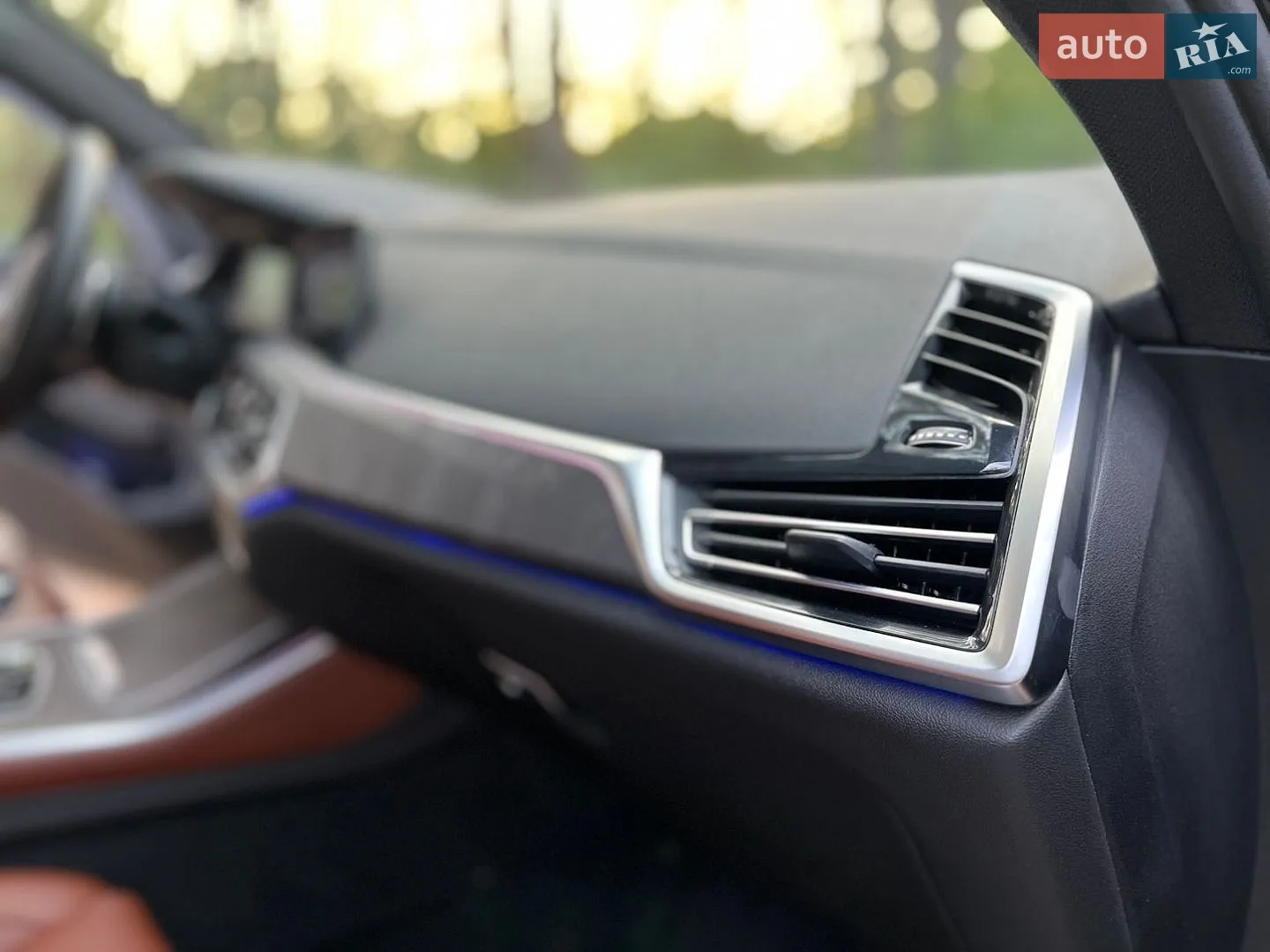 2019 BMW X5 - мініатюра 73