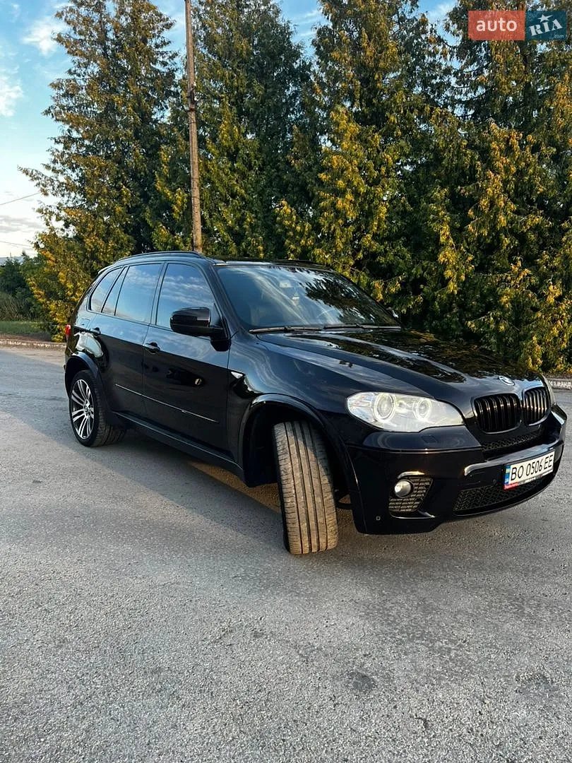 2011 BMW X5 - мініатюра 19