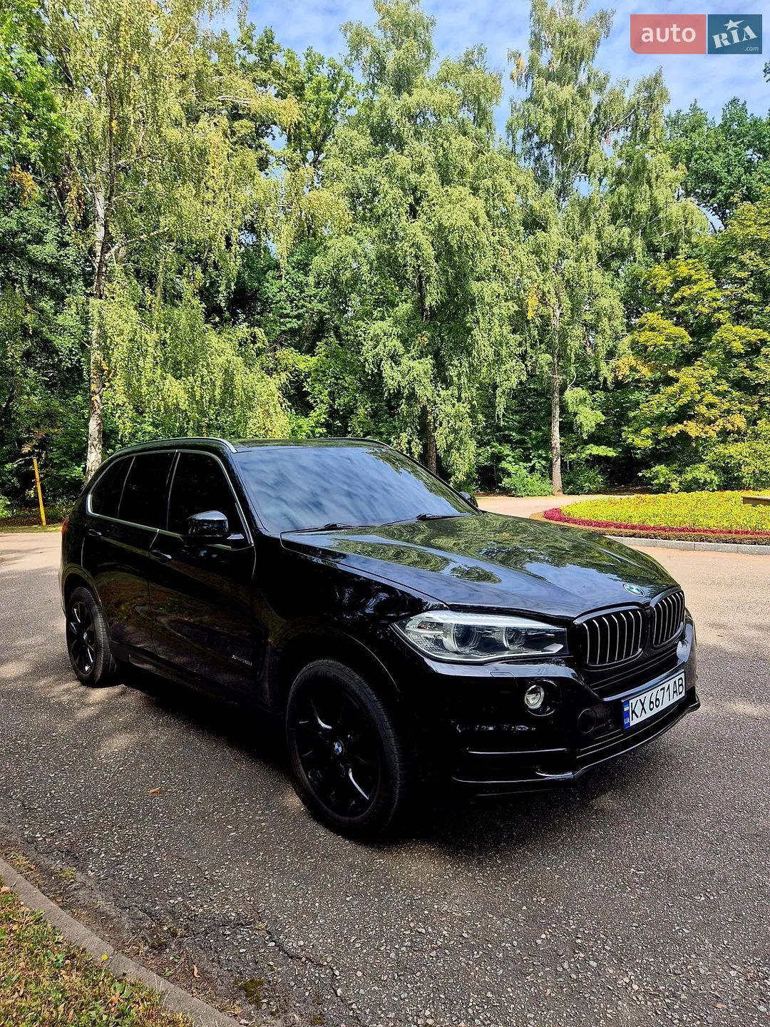 2013 BMW X5 - мініатюра 6