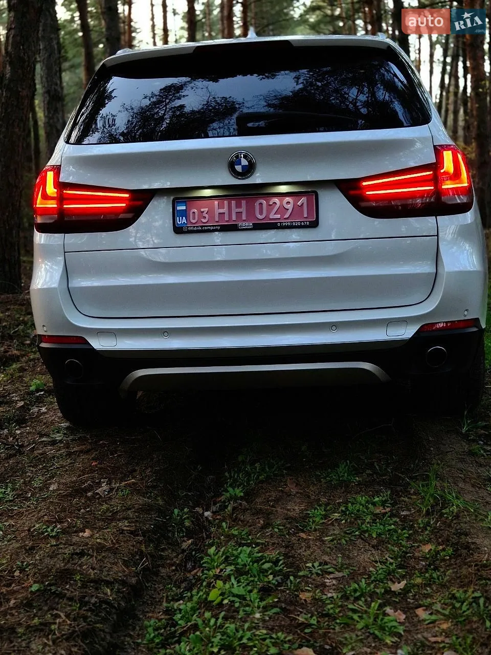 2017 BMW X5 - мініатюра 2