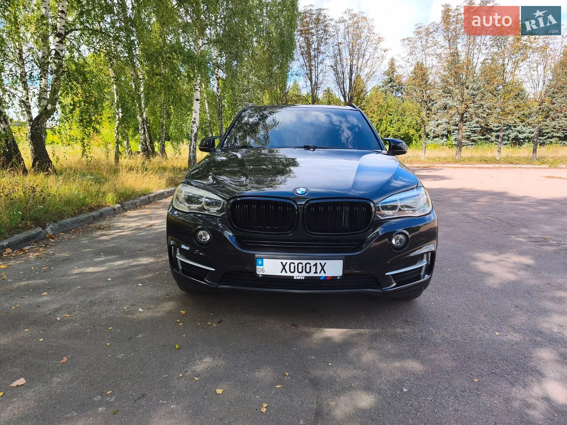 2014 BMW X5 - мініатюра 2