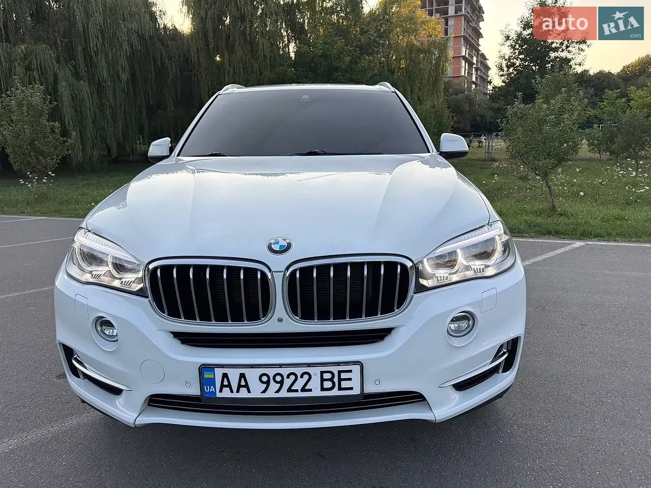 2014 BMW X5 - мініатюра 5