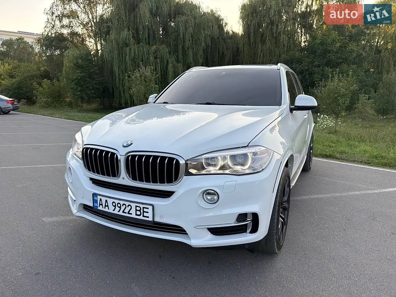 2014 BMW X5 - мініатюра 3