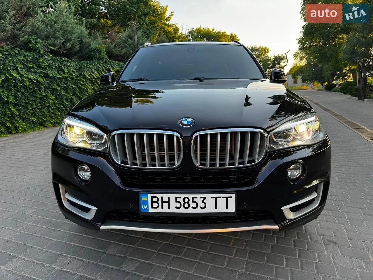 2015 BMW X5 - мініатюра 2